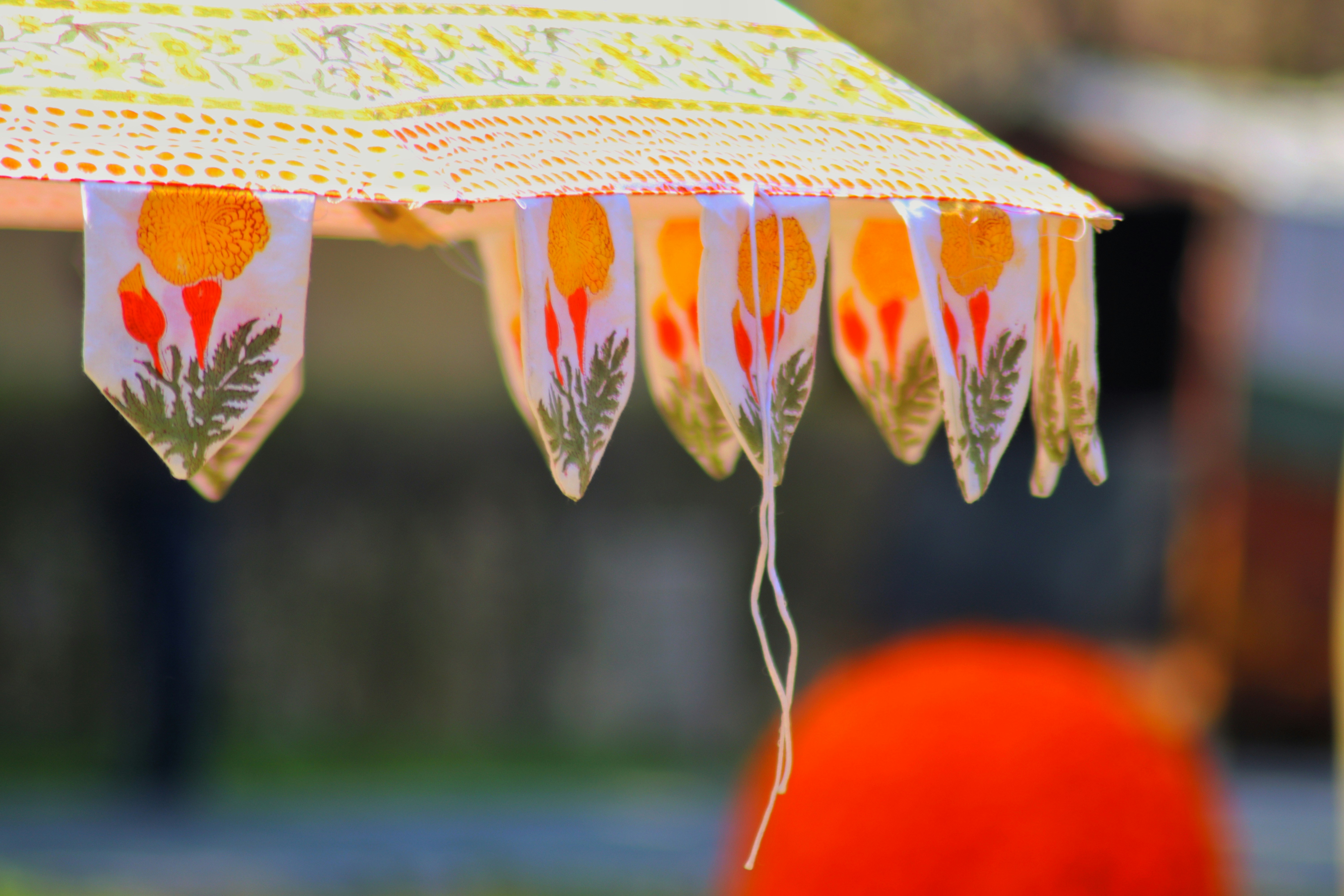 Photo by saubhagya2304