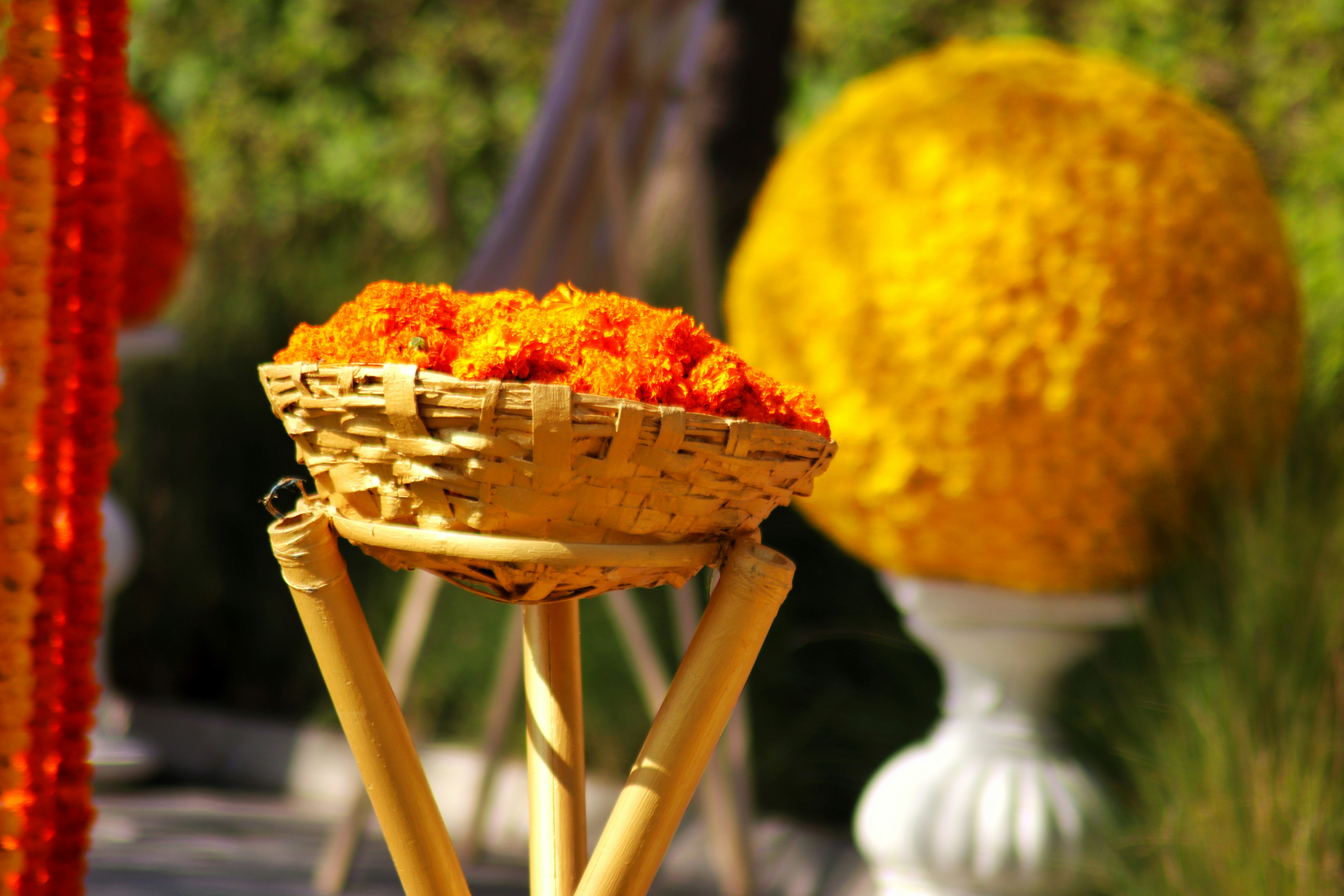 Photo by saubhagya2304