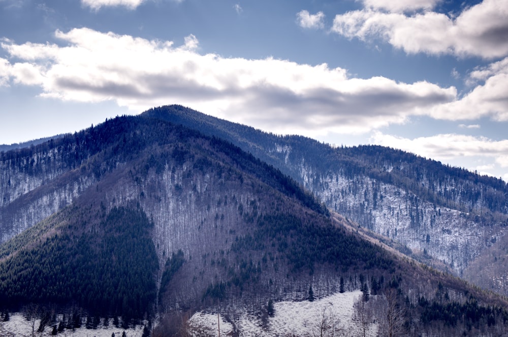 a snow covered mountain with trees on the side