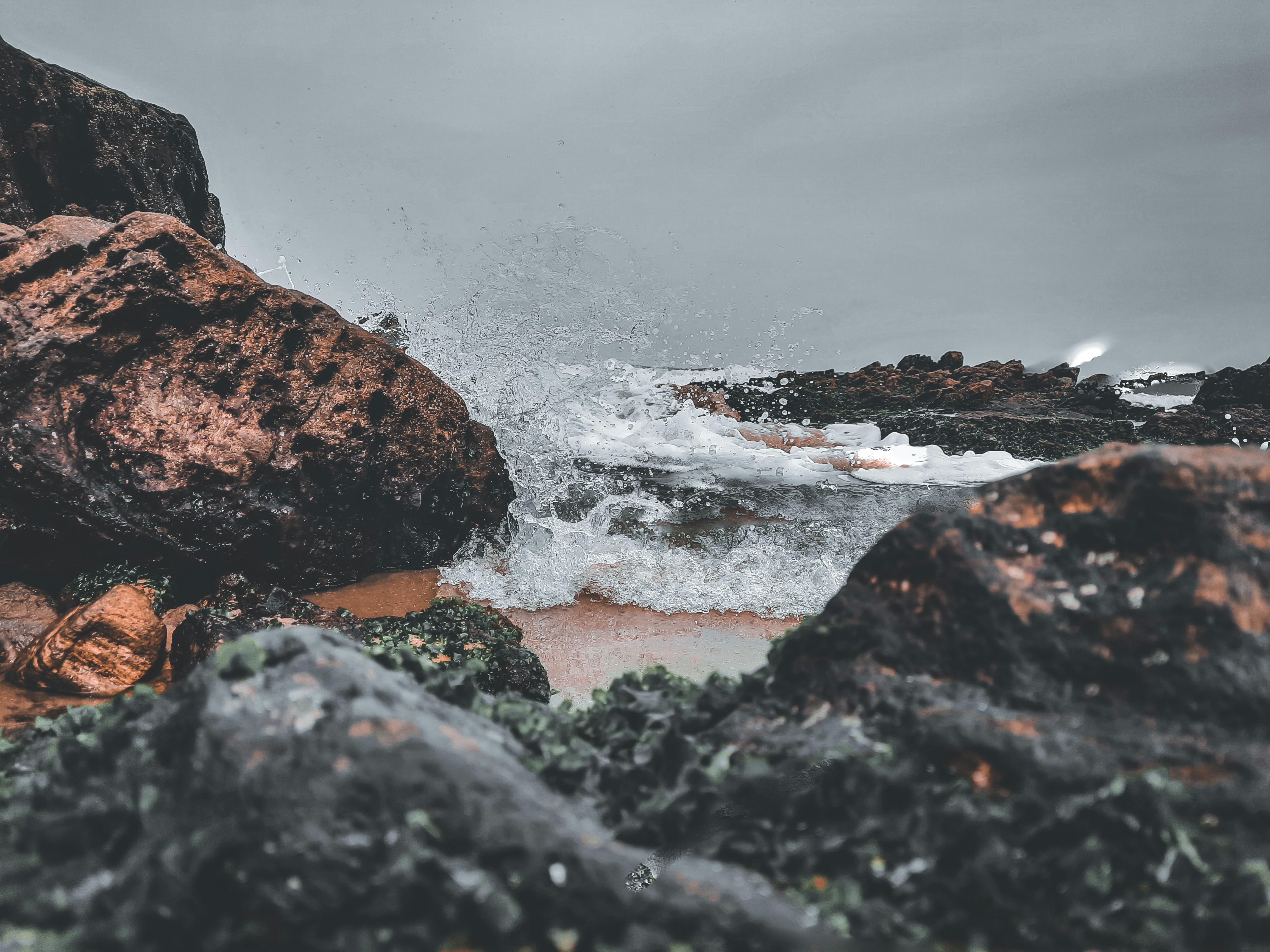 Photo by castle_of_photos