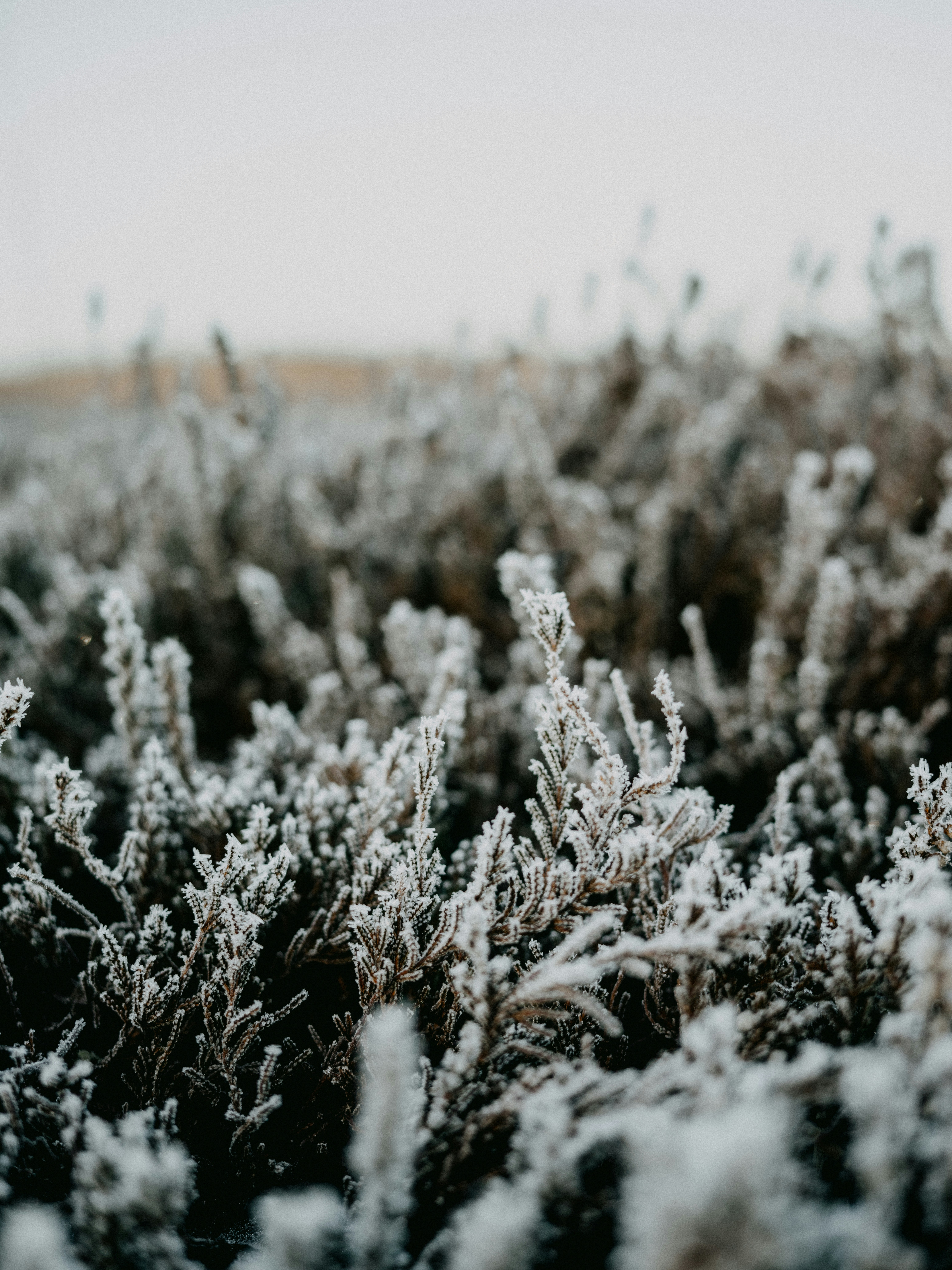 Photo by anniespratt