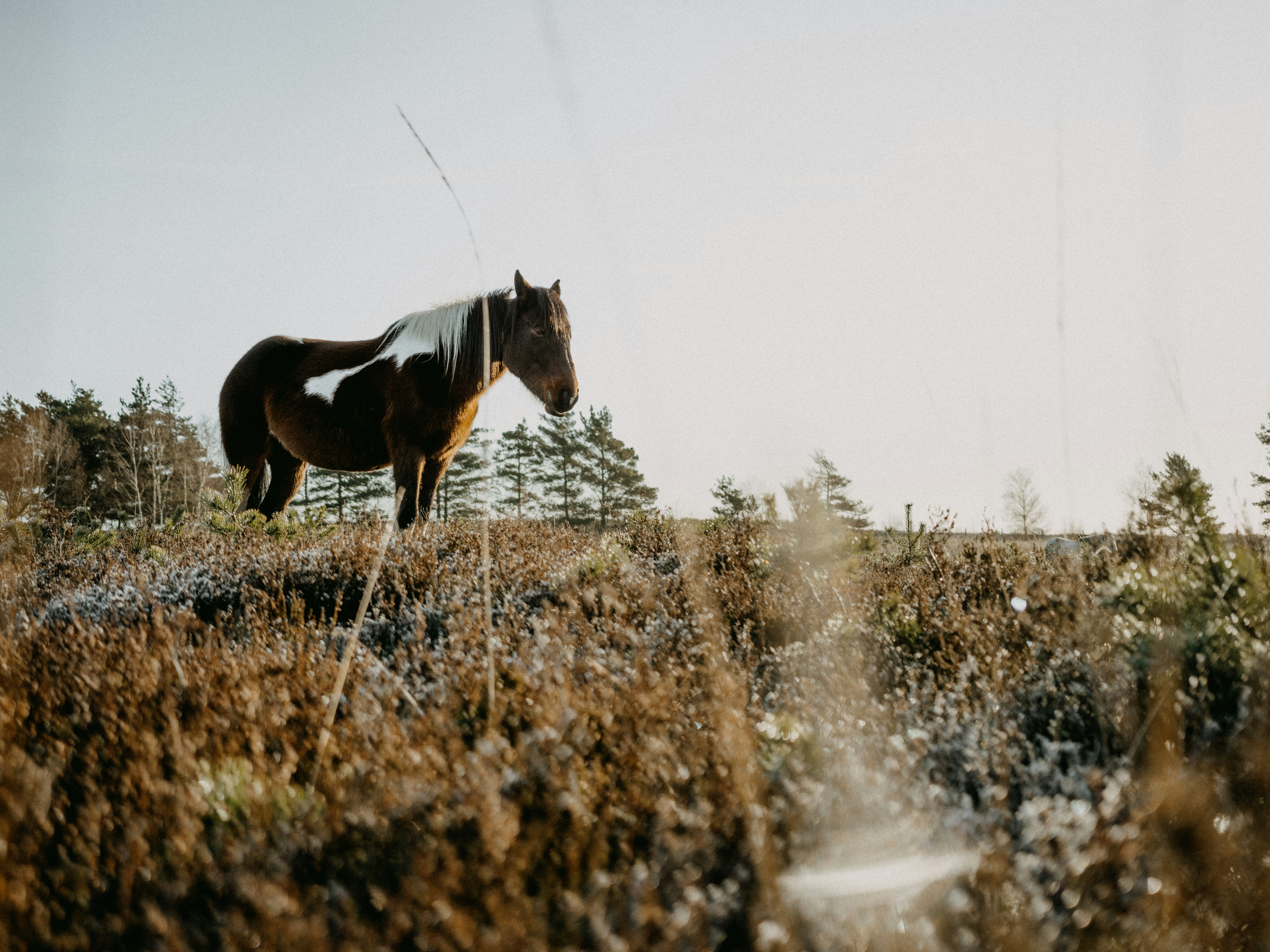 Photo by anniespratt