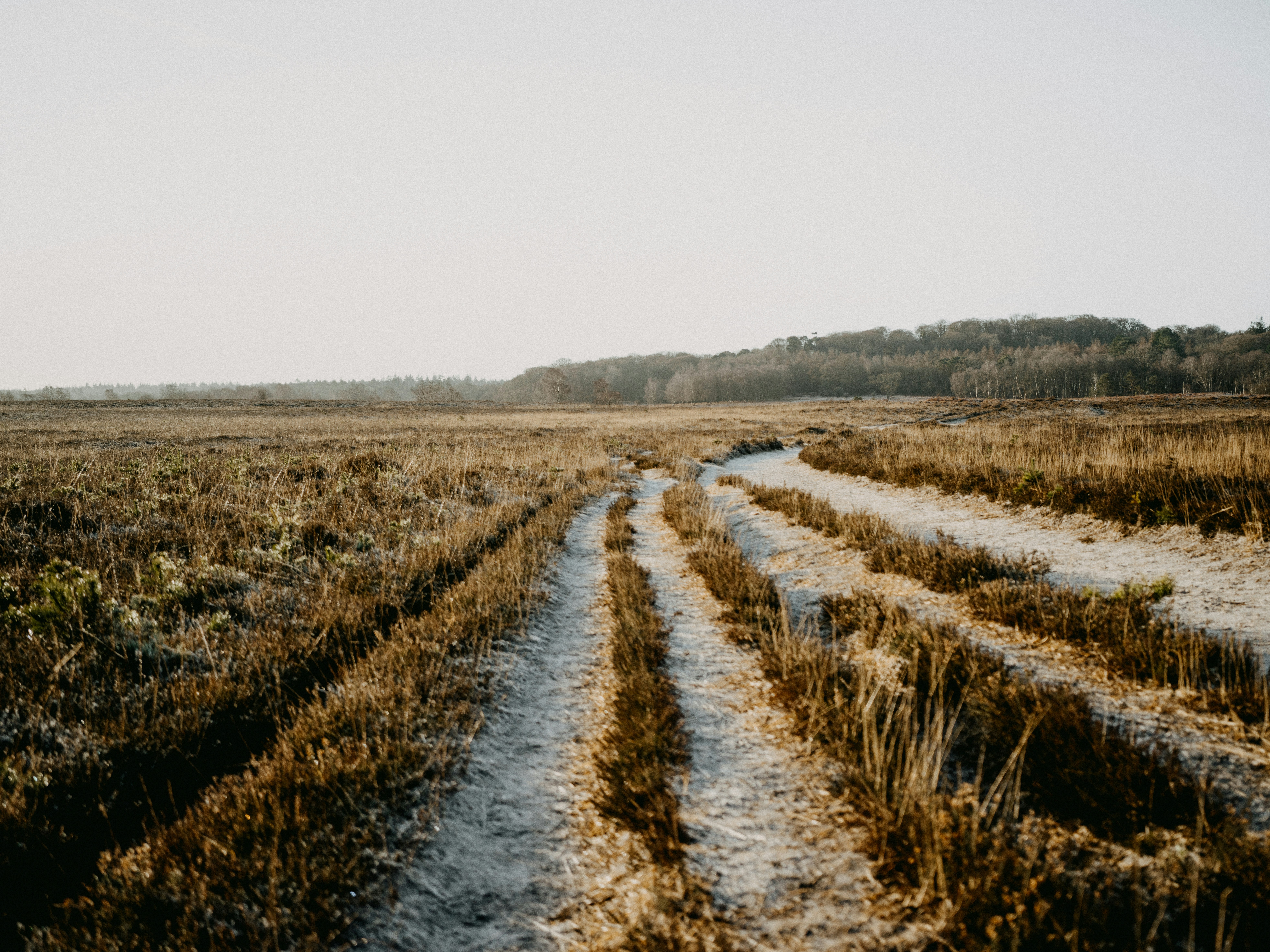 Photo by anniespratt