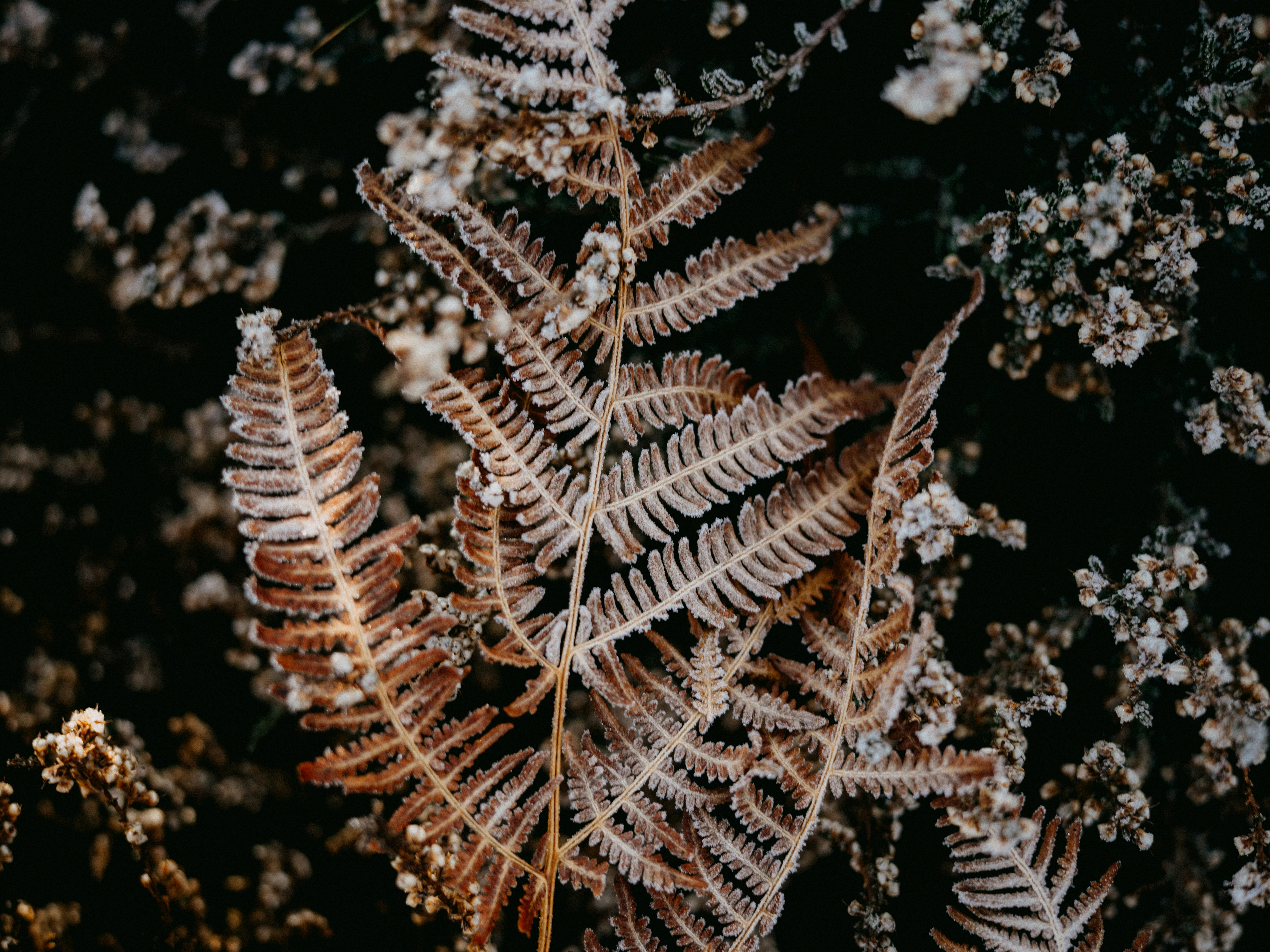 Photo by anniespratt