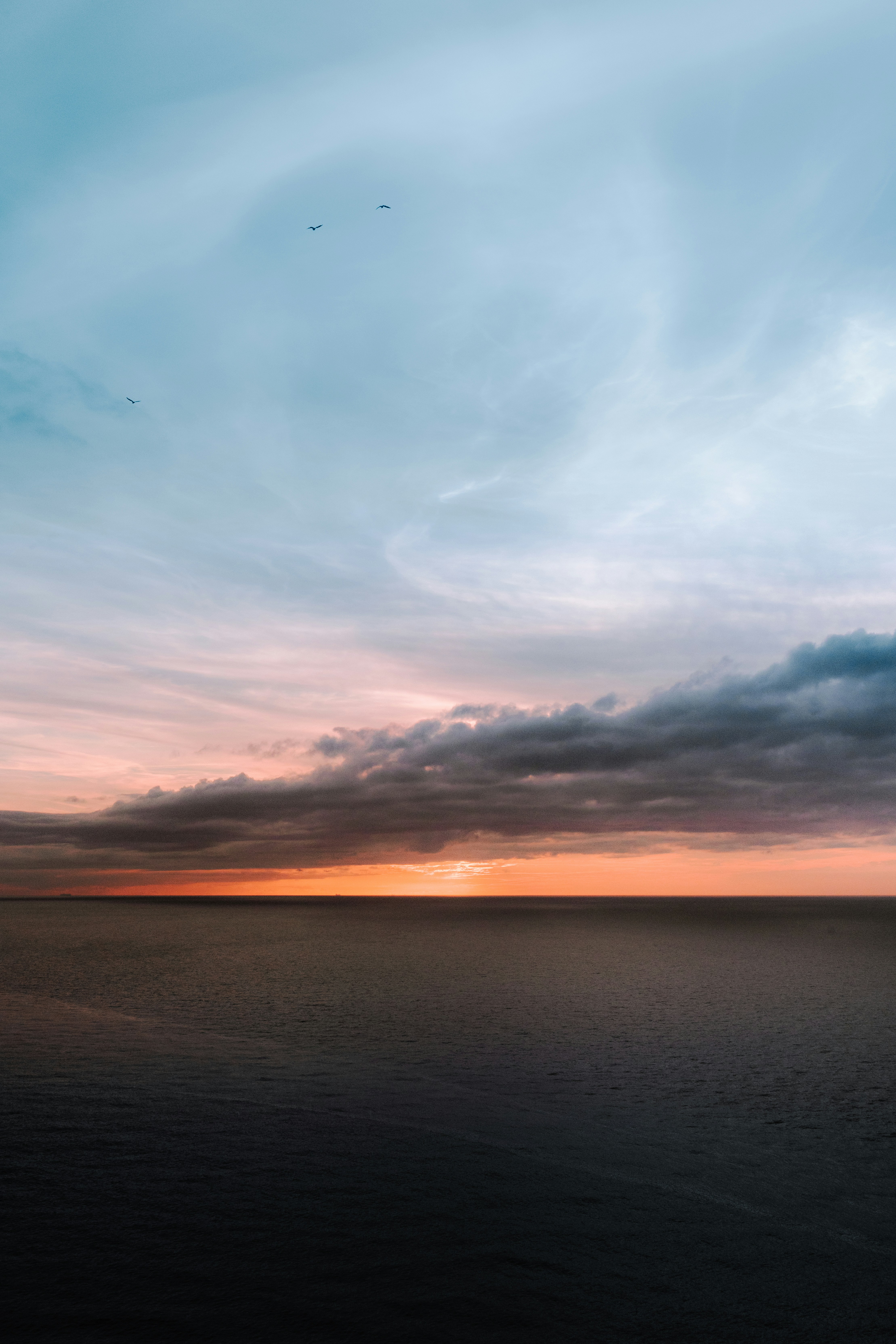 Photo by kevinmueller