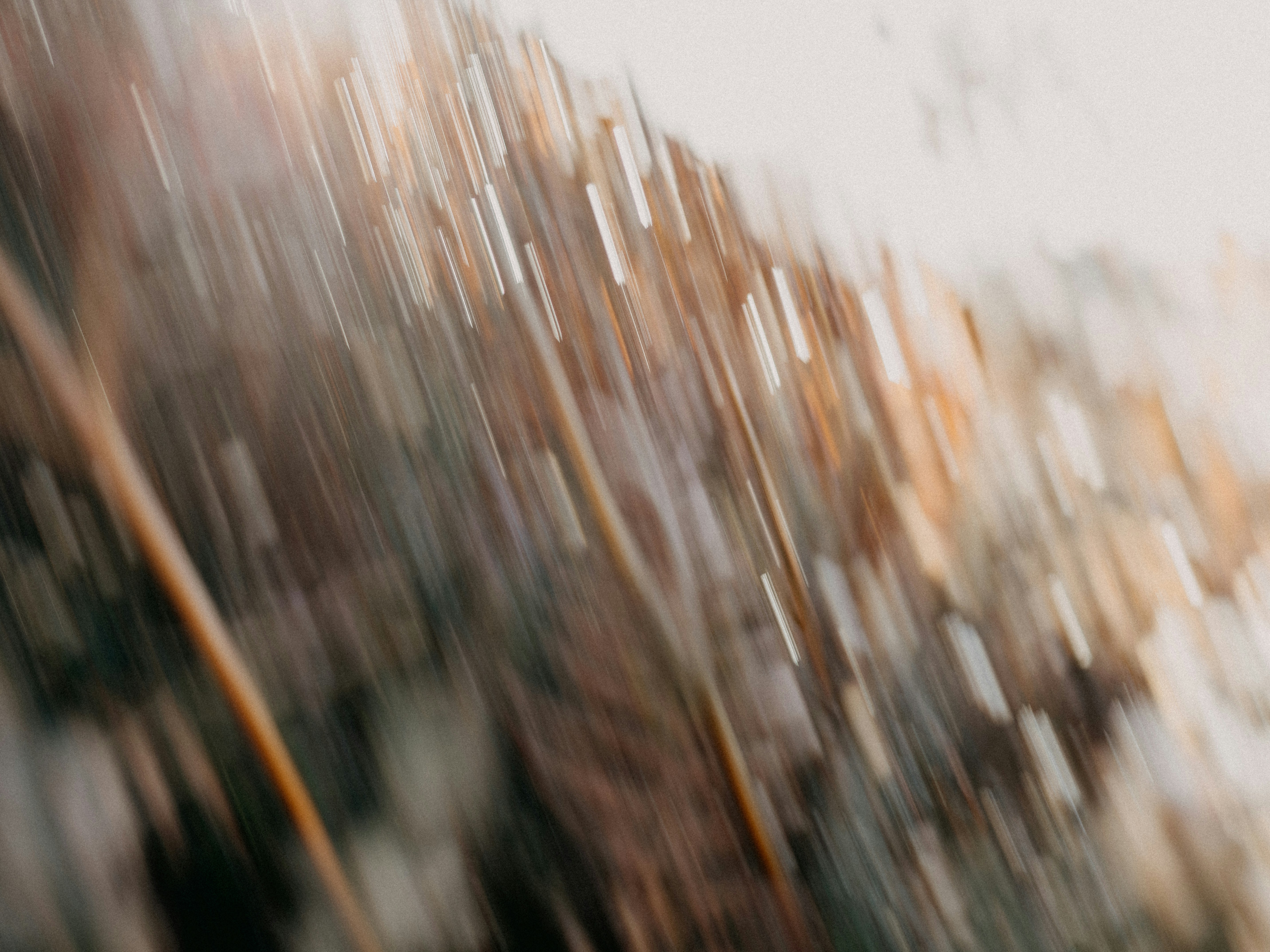 Photo by anniespratt