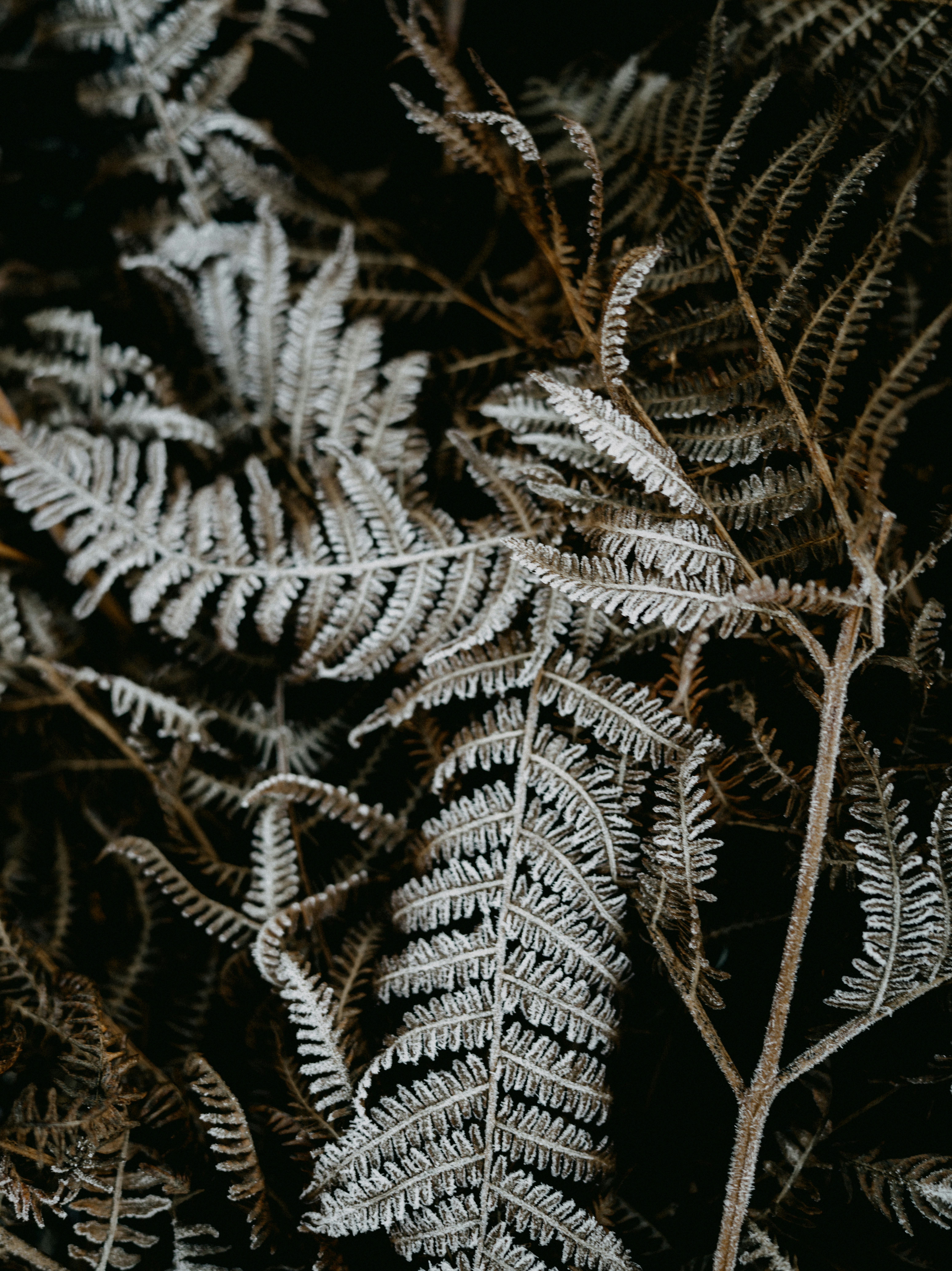 Photo by anniespratt