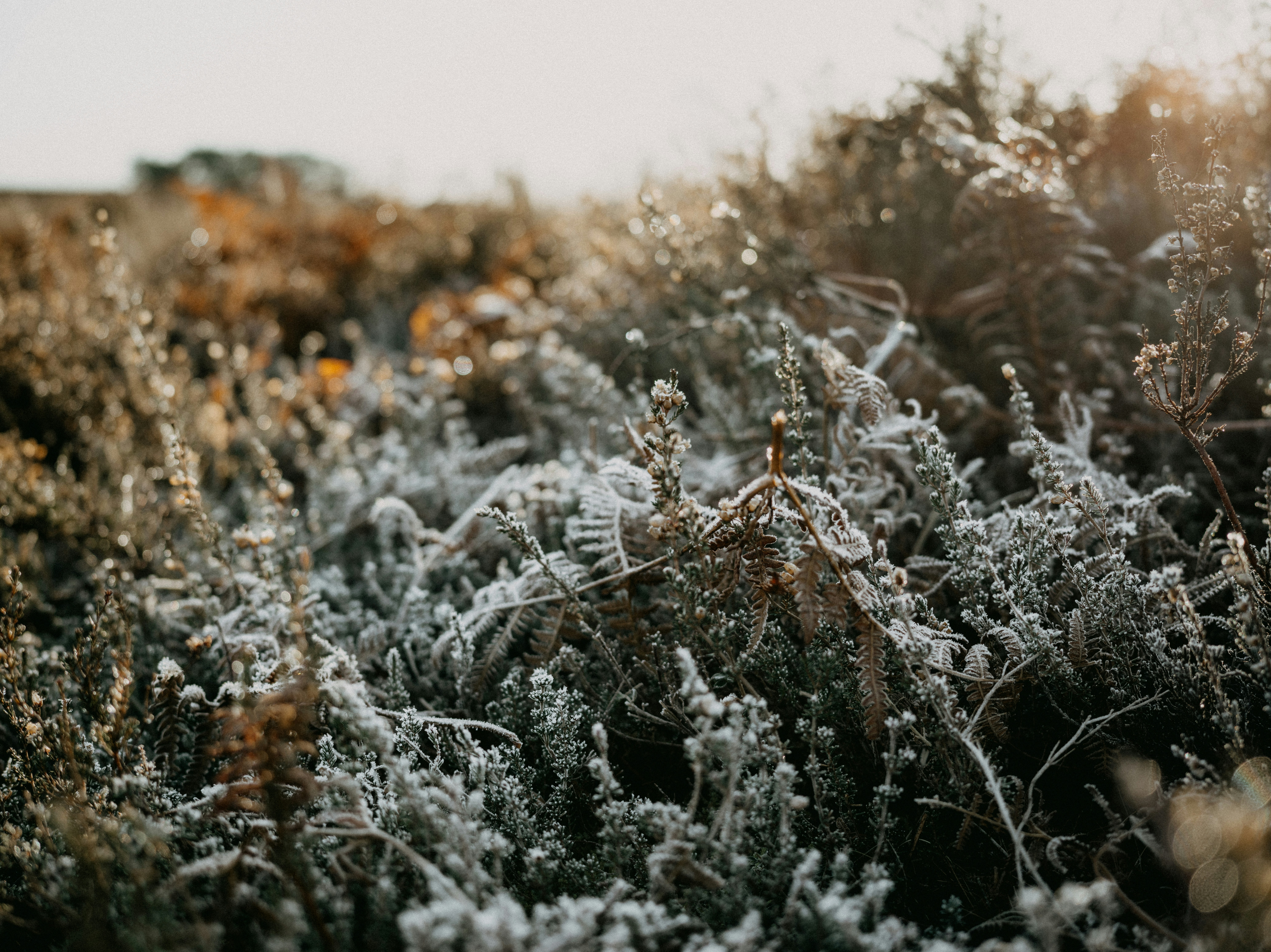 Photo by anniespratt