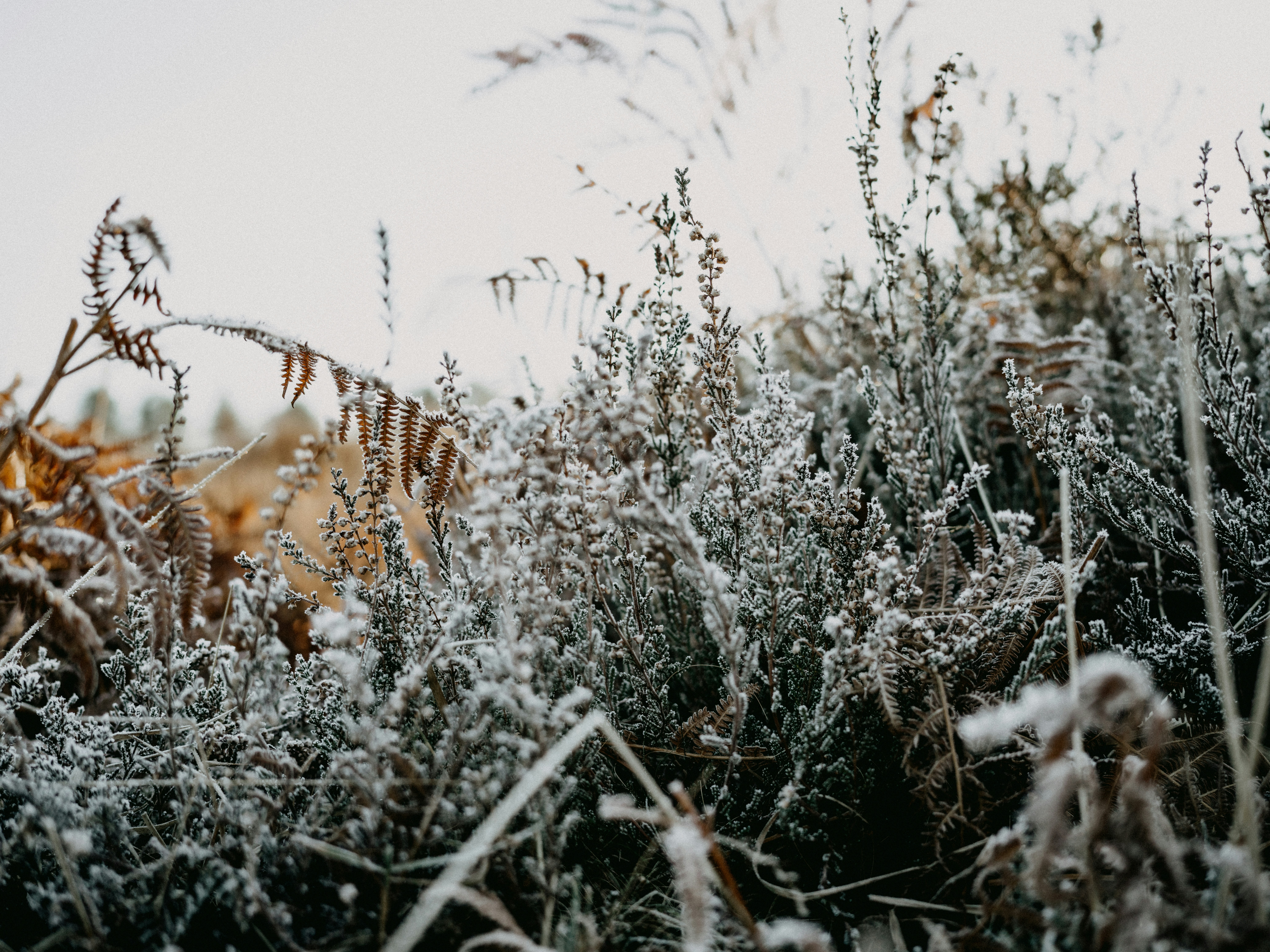 Photo by anniespratt