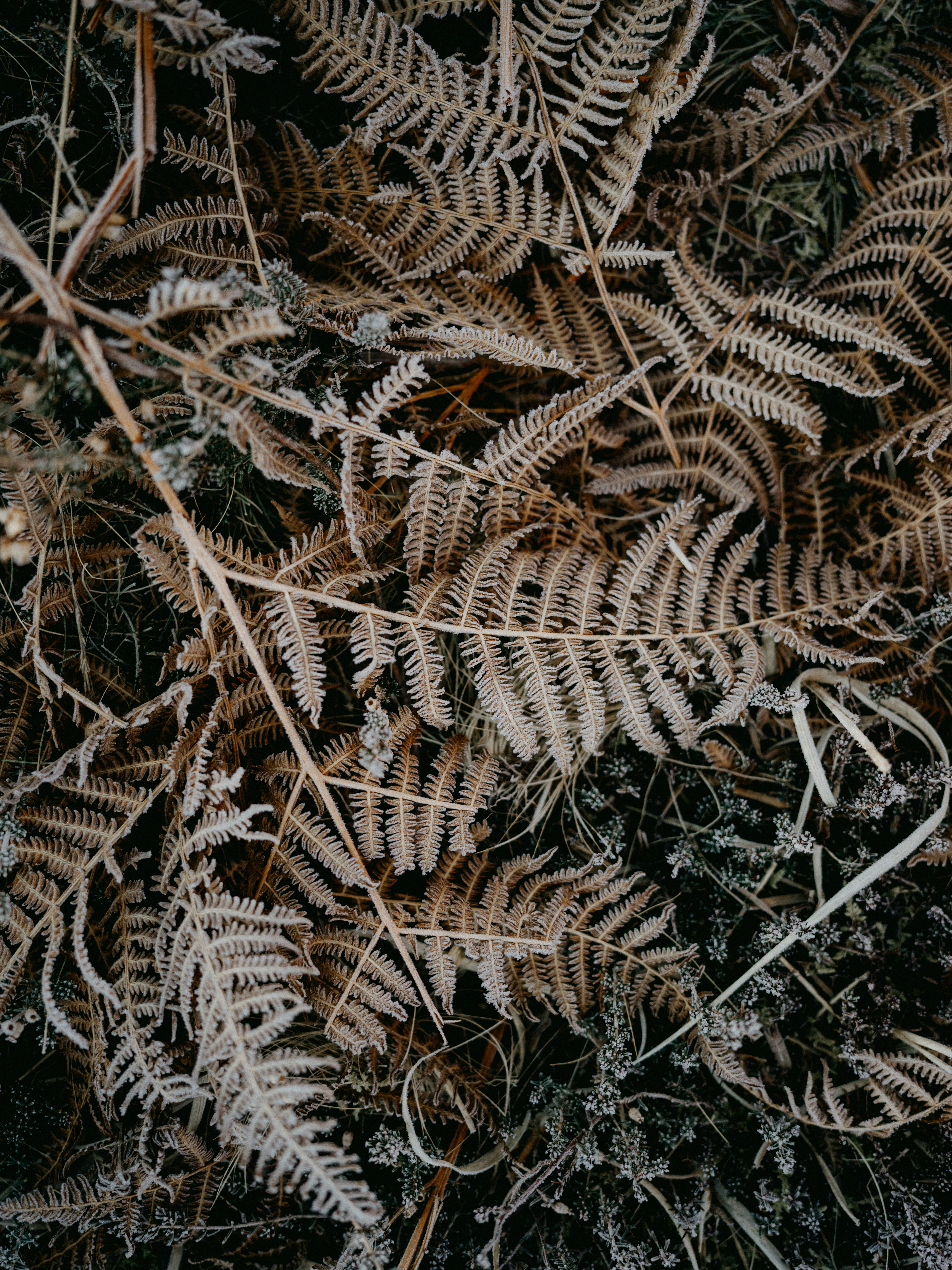 Photo by anniespratt