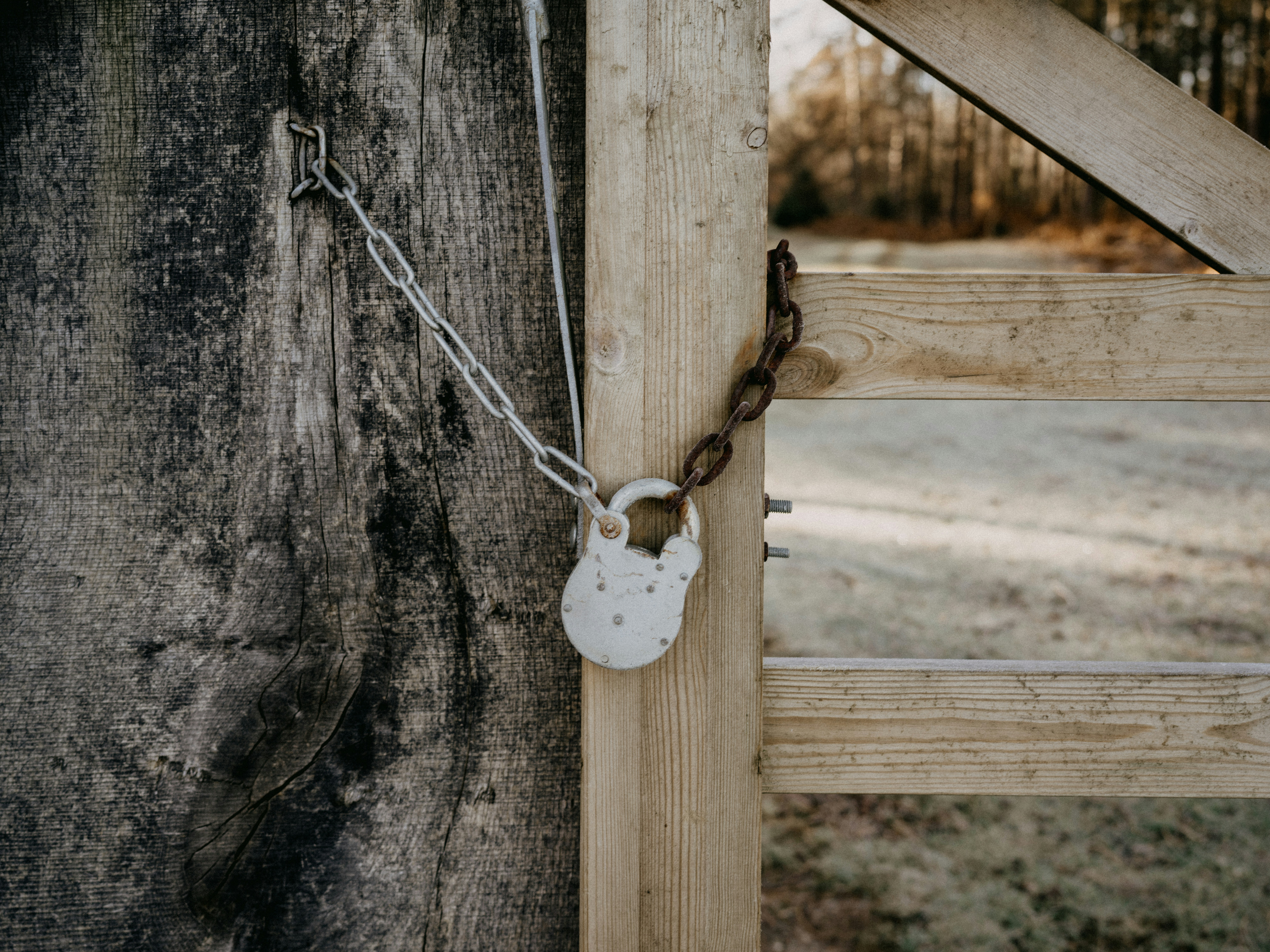 Photo by anniespratt