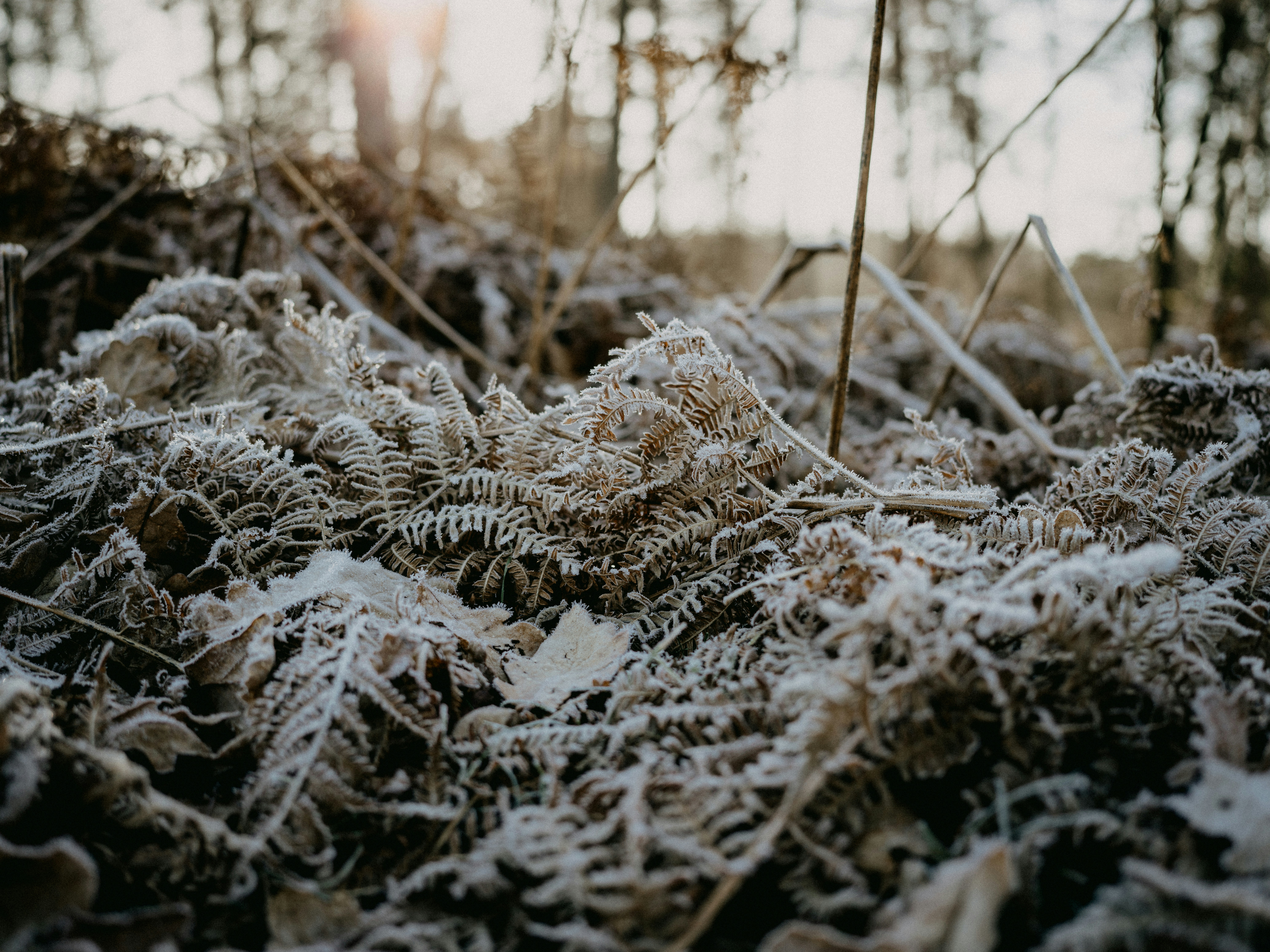 Photo by anniespratt