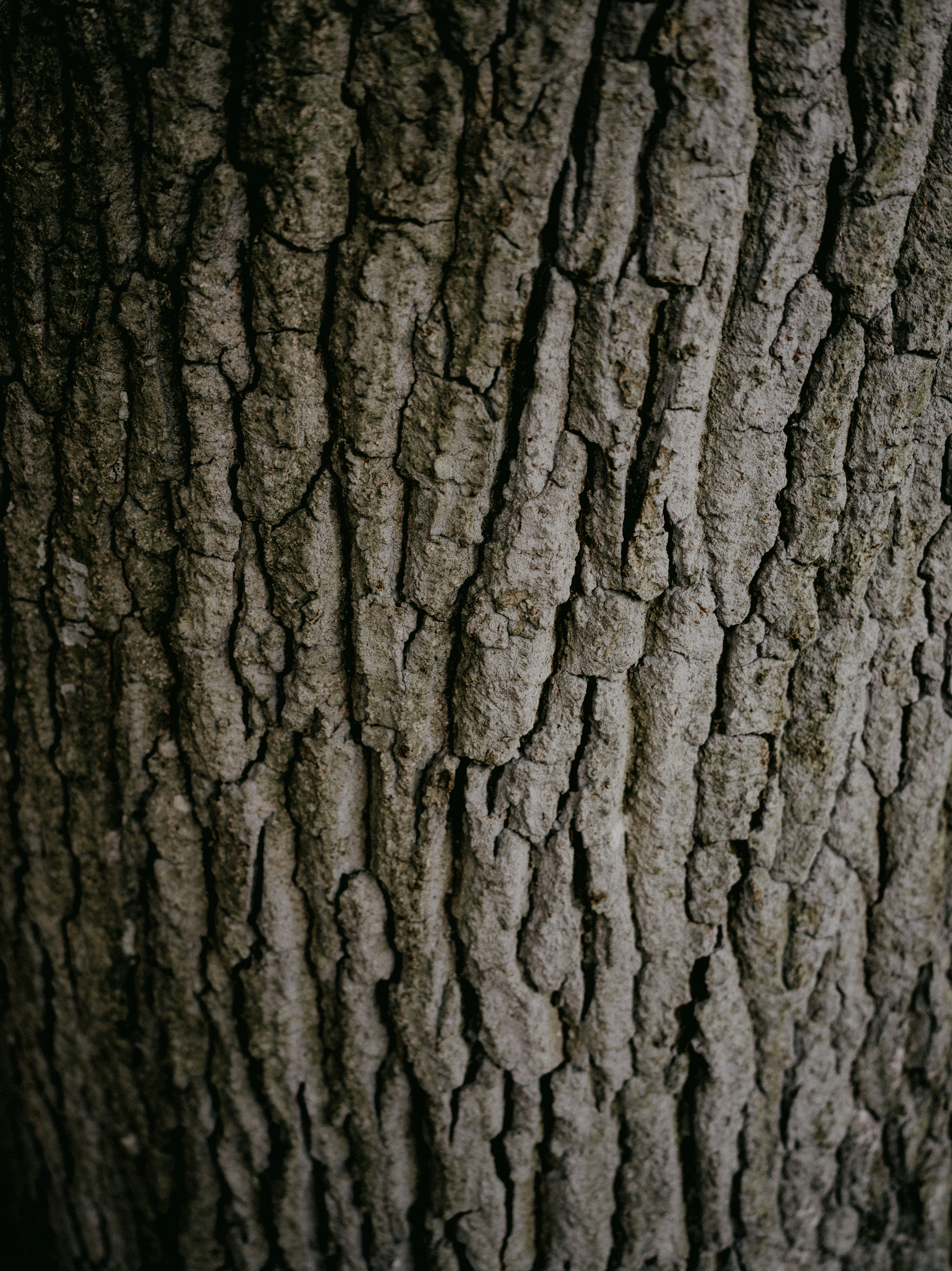 Photo by anniespratt