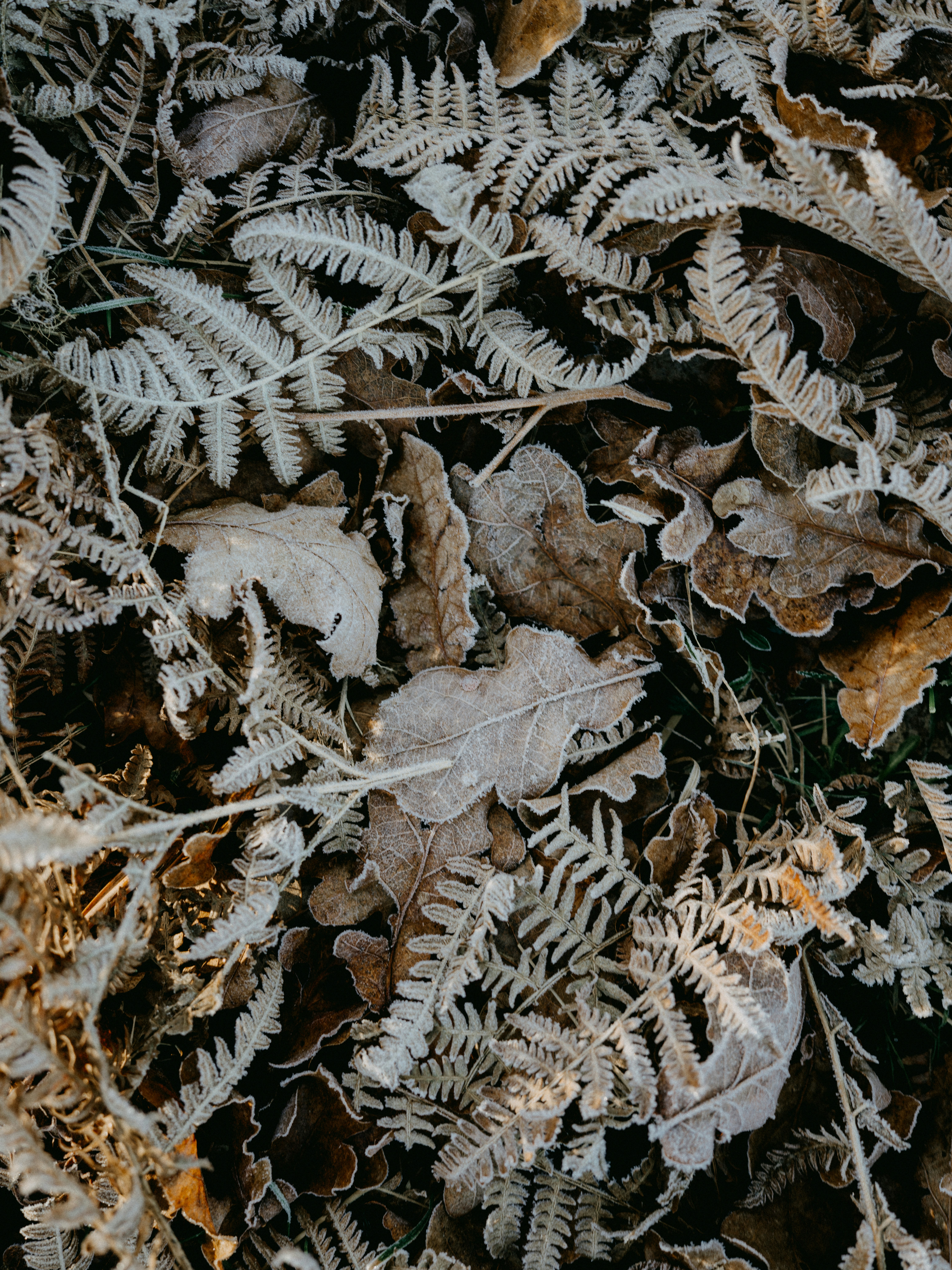 Photo by anniespratt
