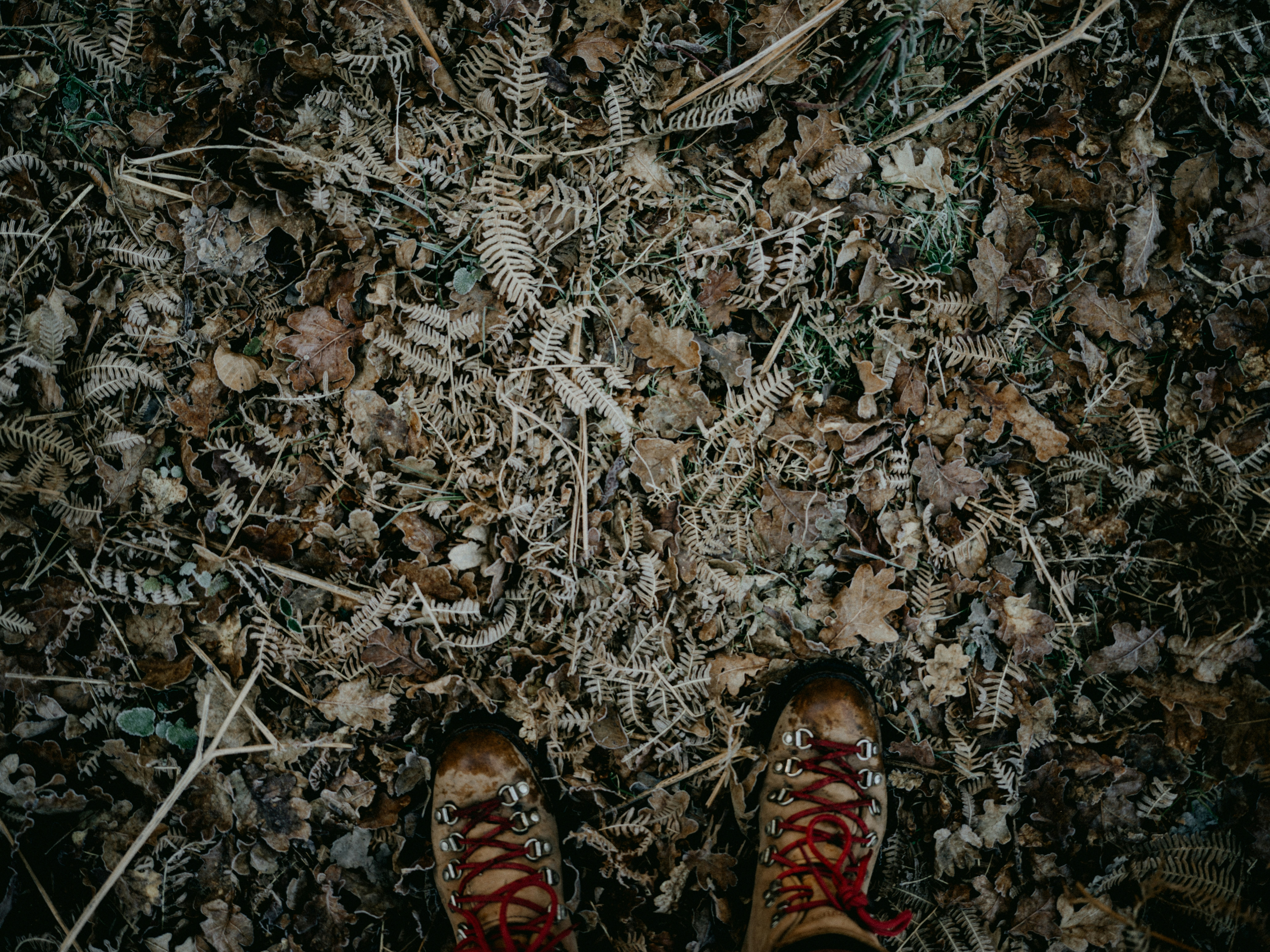 Photo by anniespratt