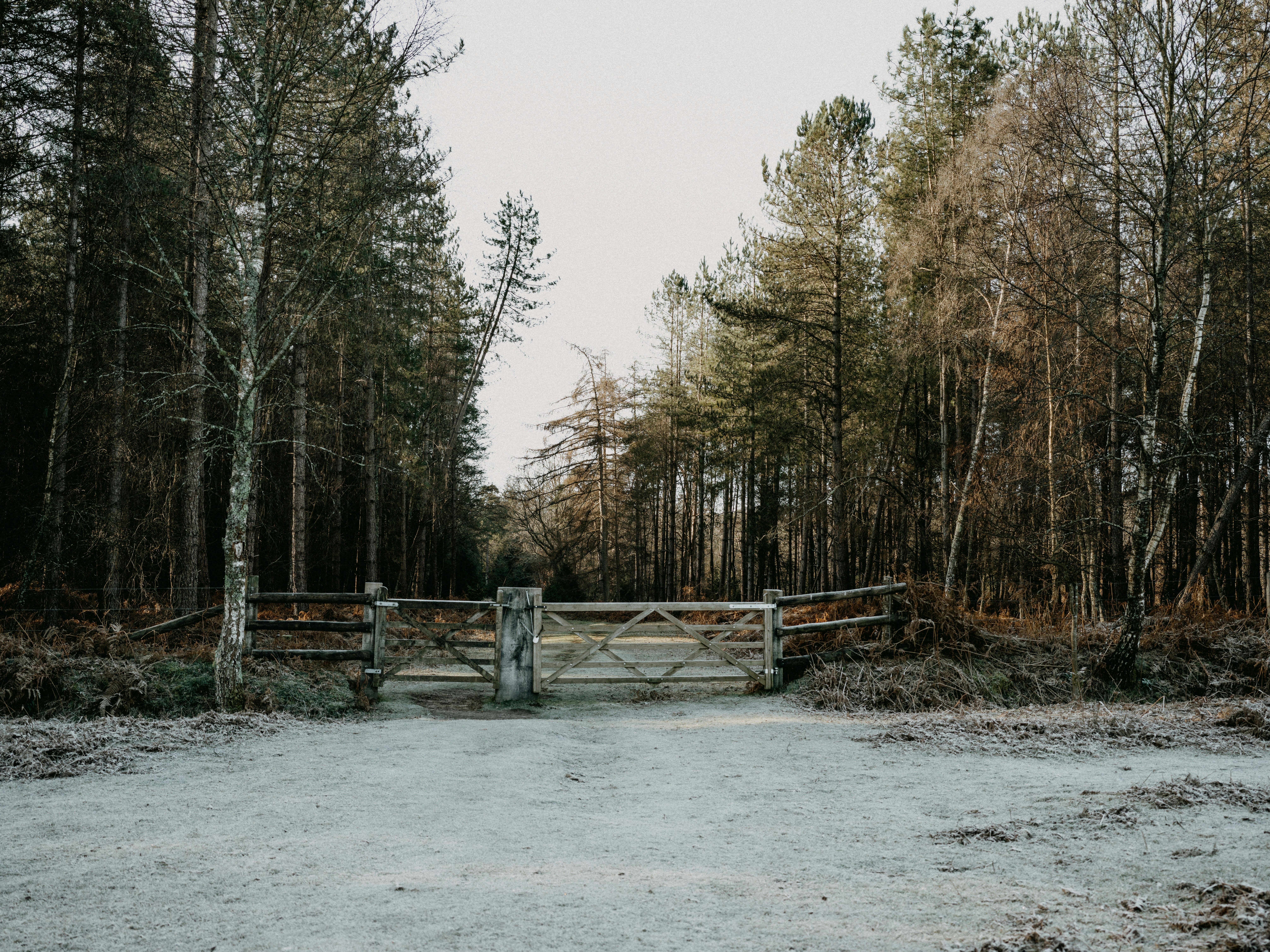 Photo by anniespratt