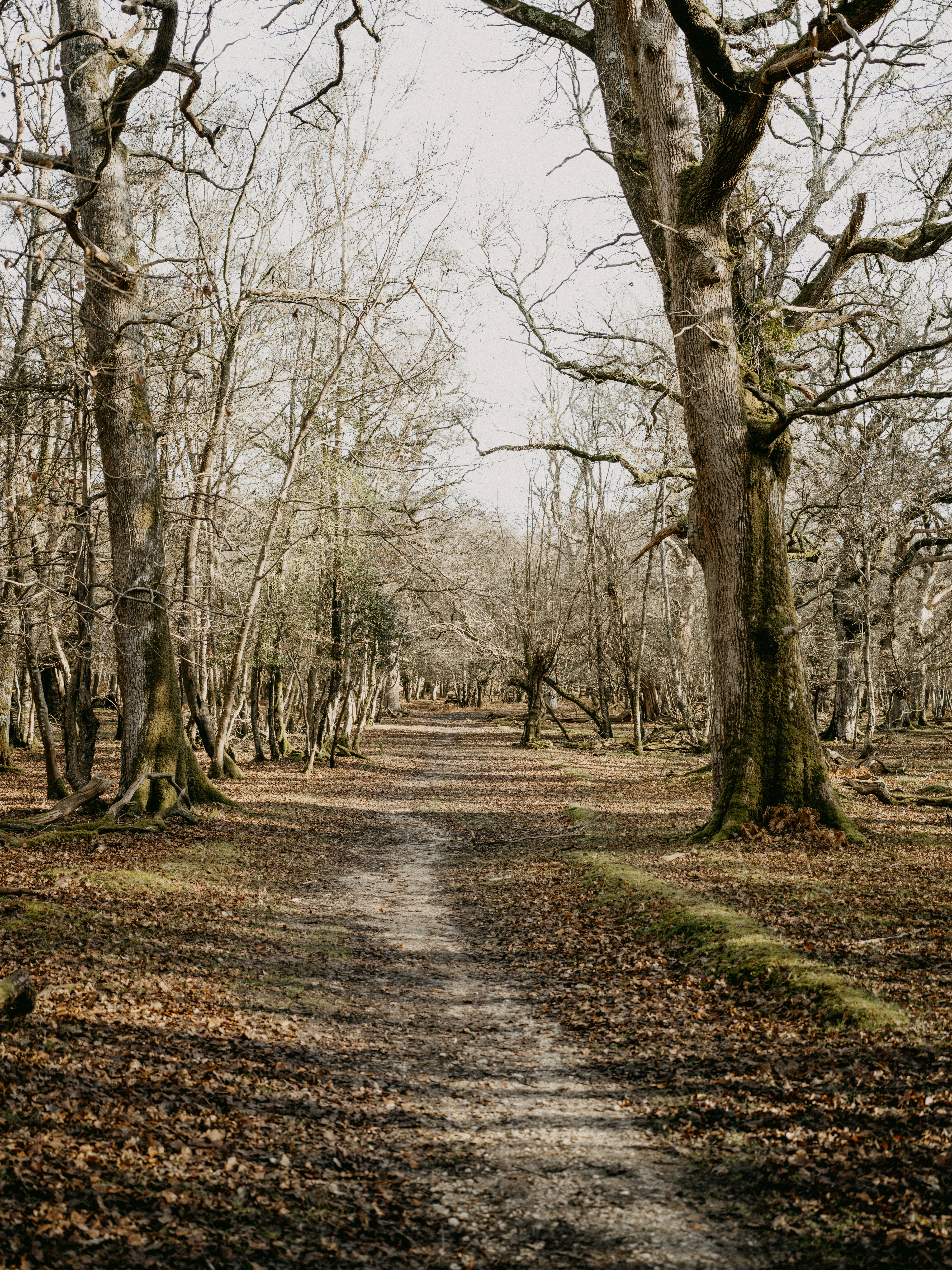 Photo by anniespratt