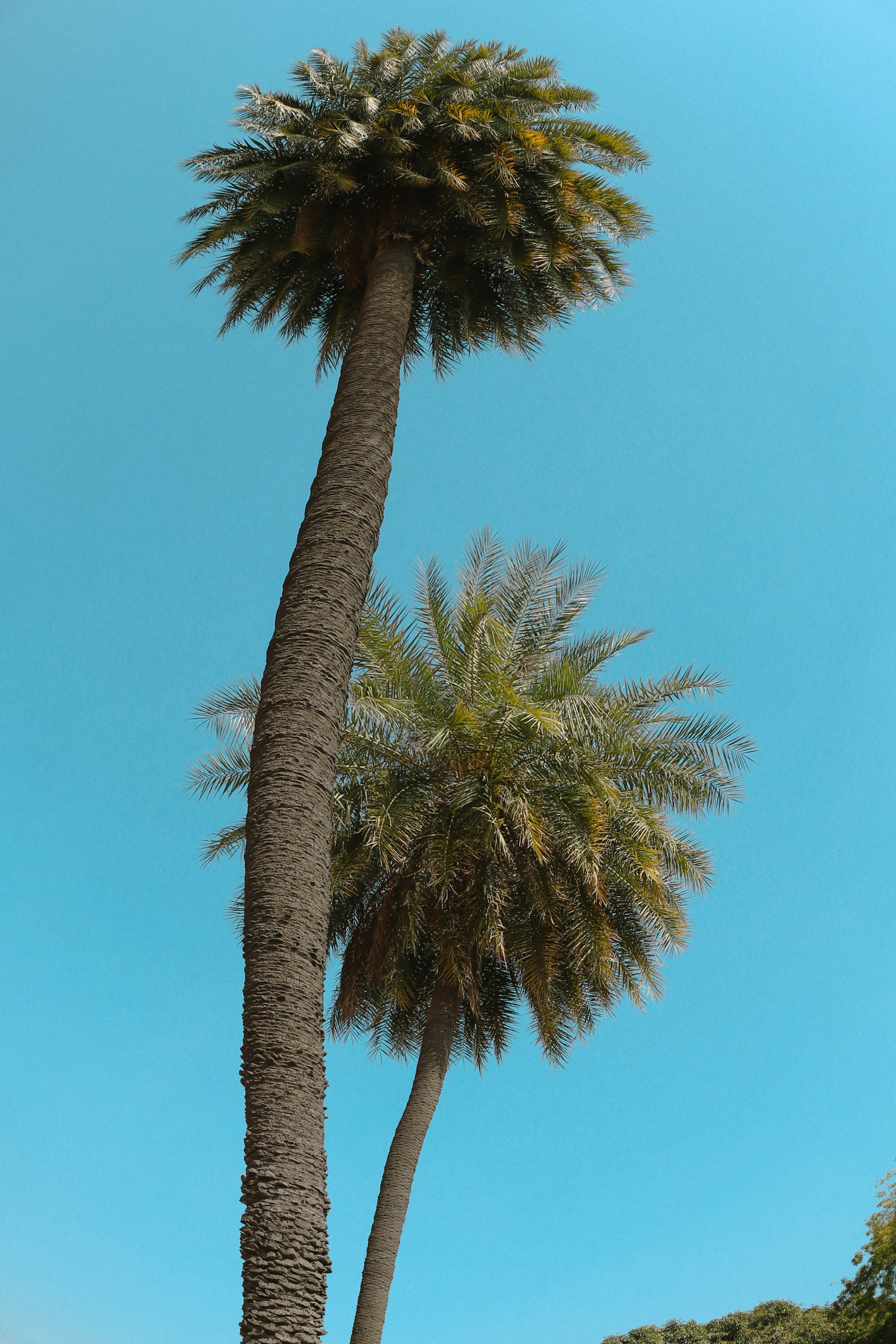 Photo by simran01_fashionphotography