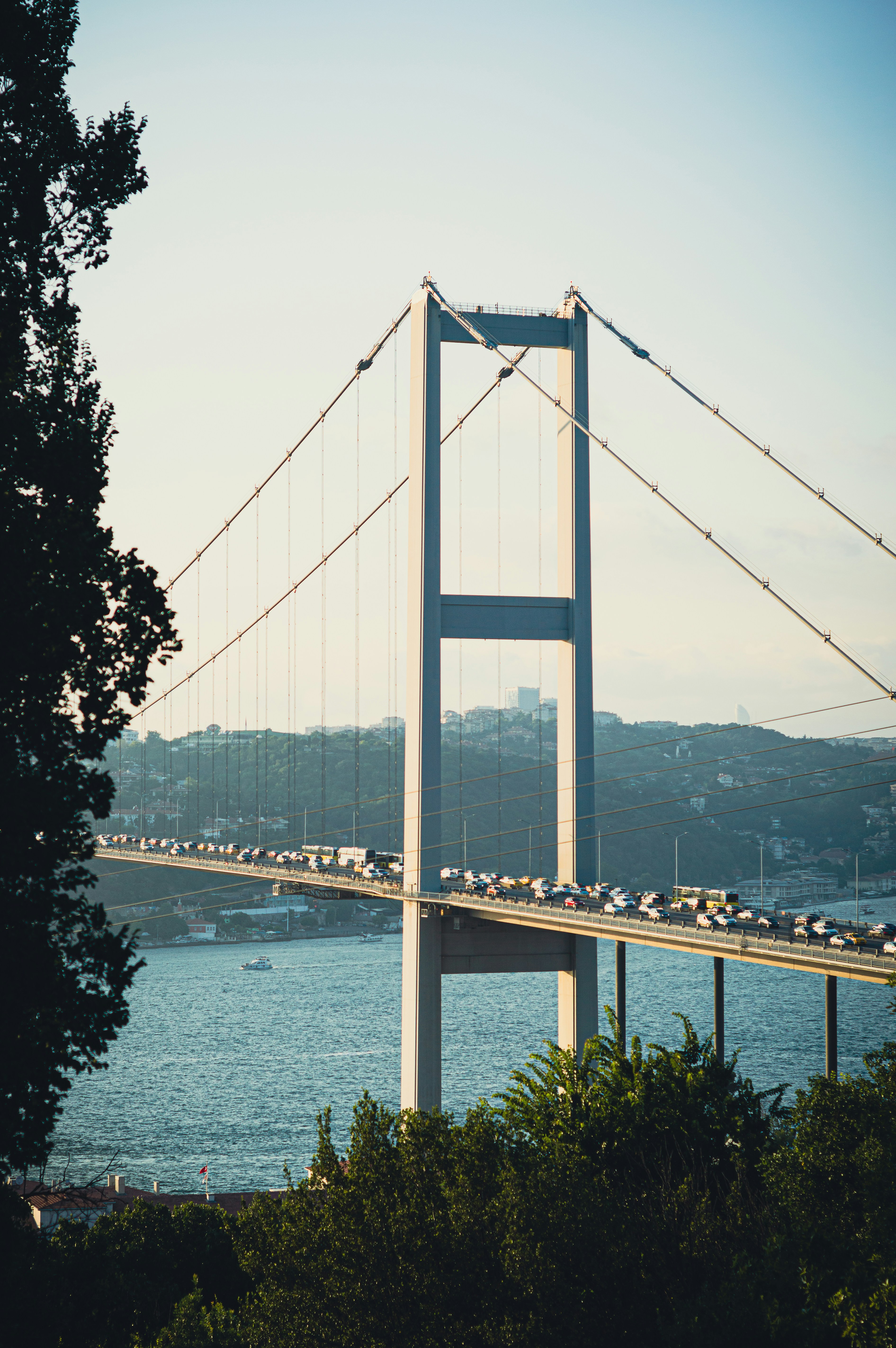 Unsplashで見つける橋の無料写真