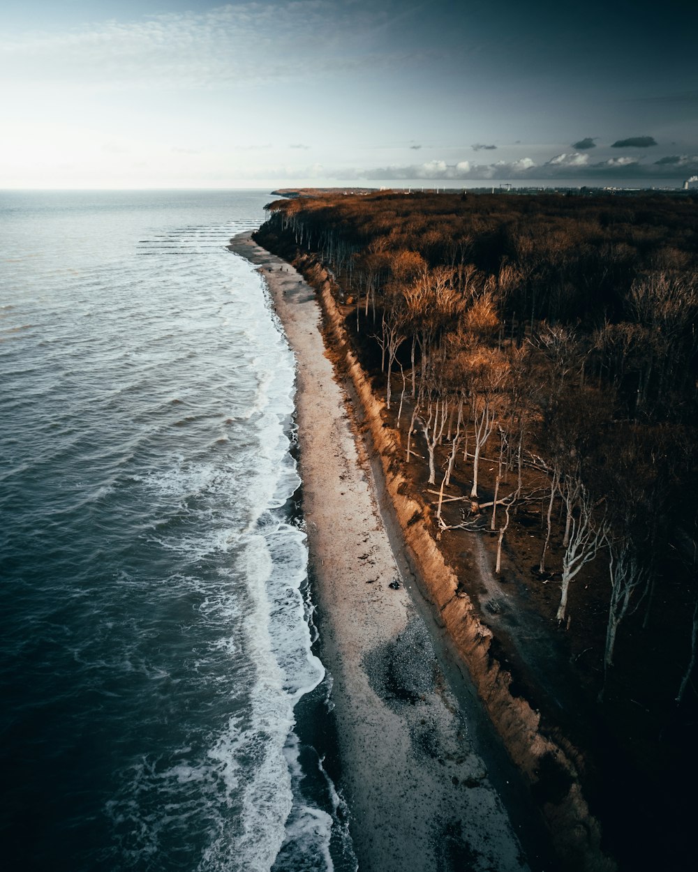 an aerial view of a beach and a body of water