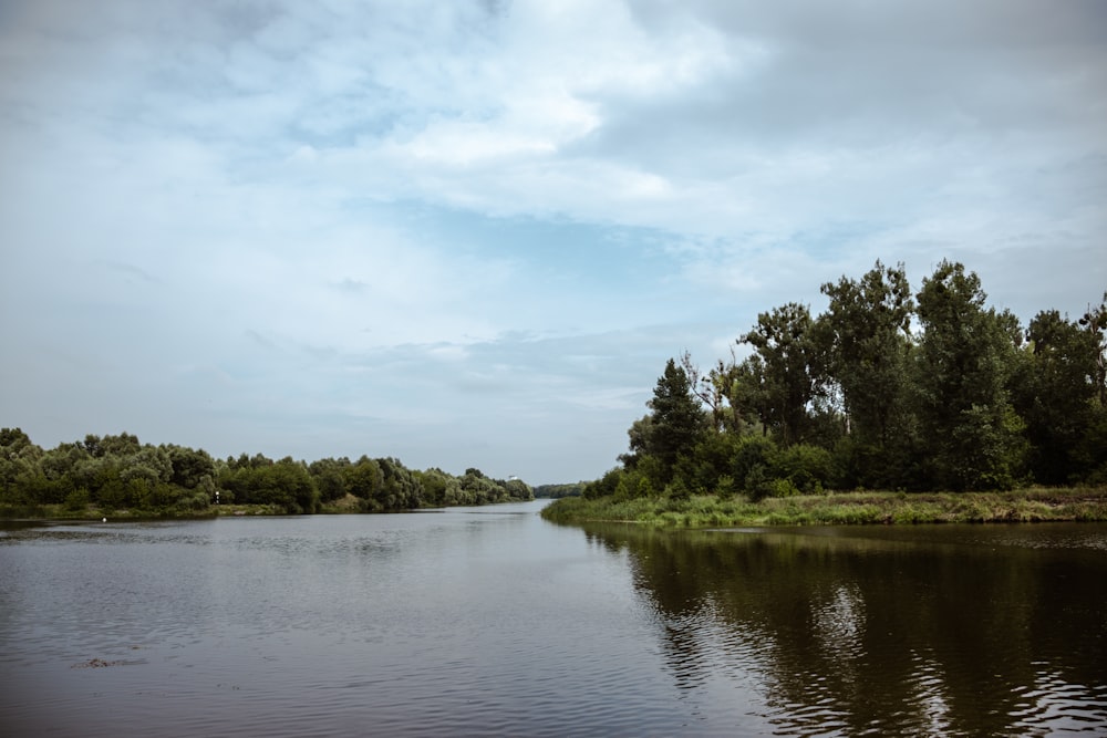 a body of water surrounded by trees and grass