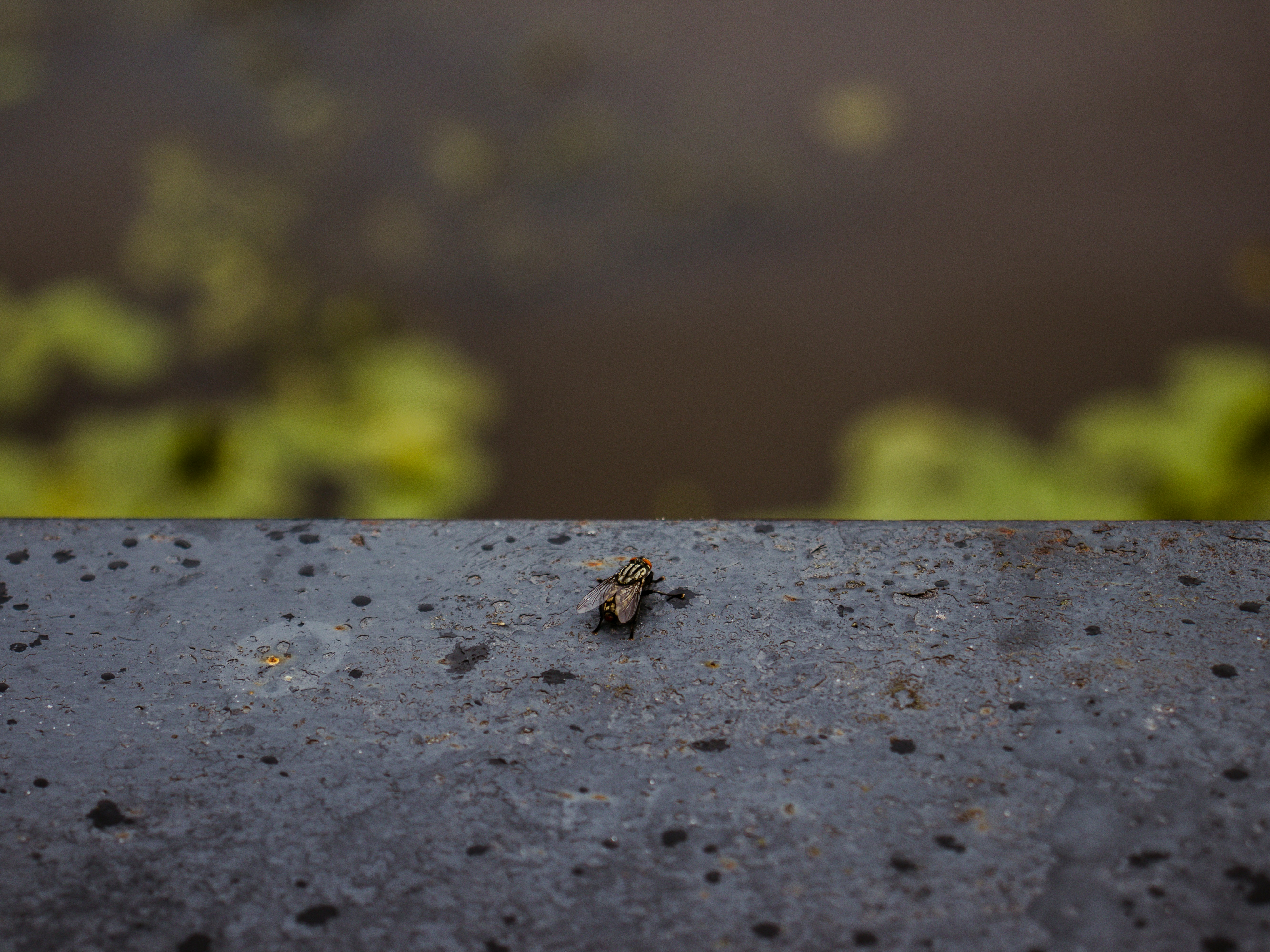 Photo by obscurespace