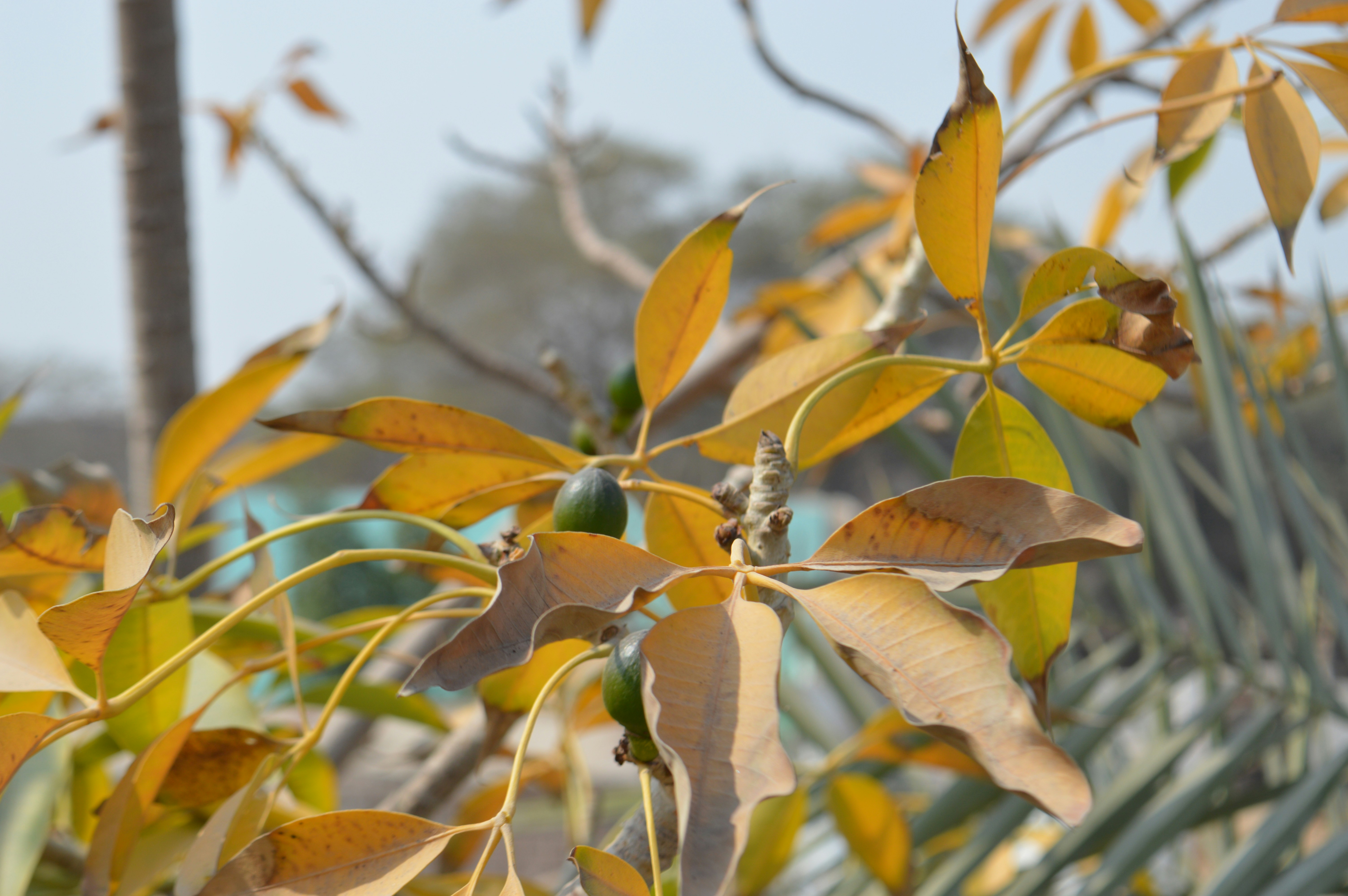 Photo by zeepresents