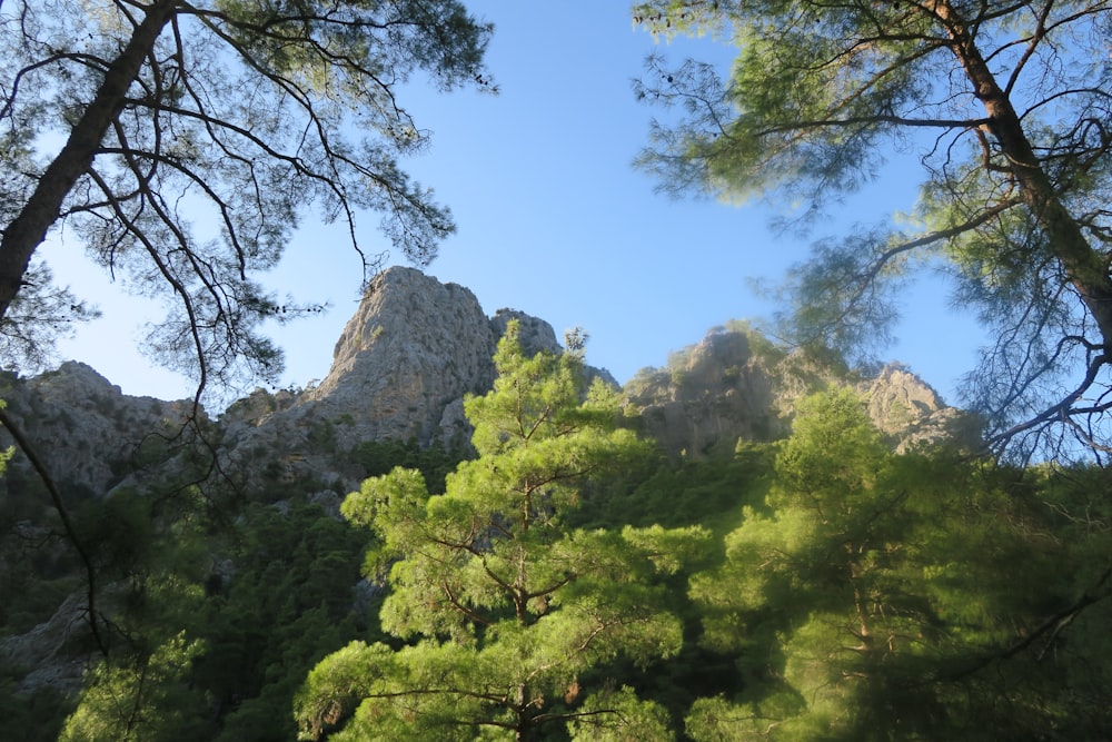 a view of a mountain through the trees