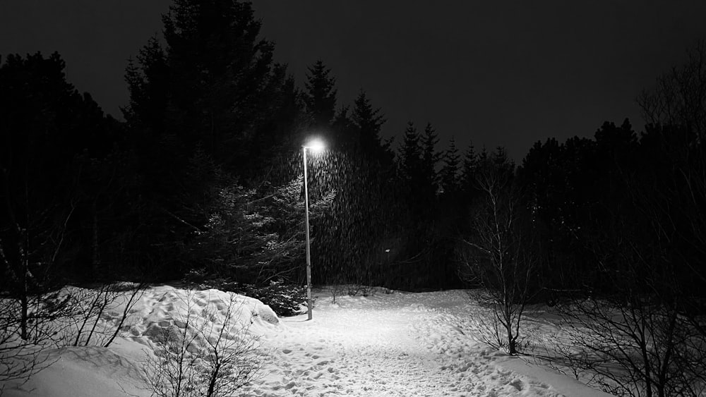 a street light in the middle of a snowy field