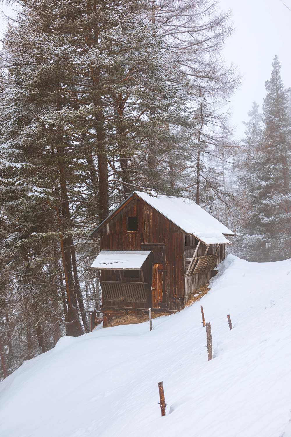 a cabin in the middle of a snowy forest