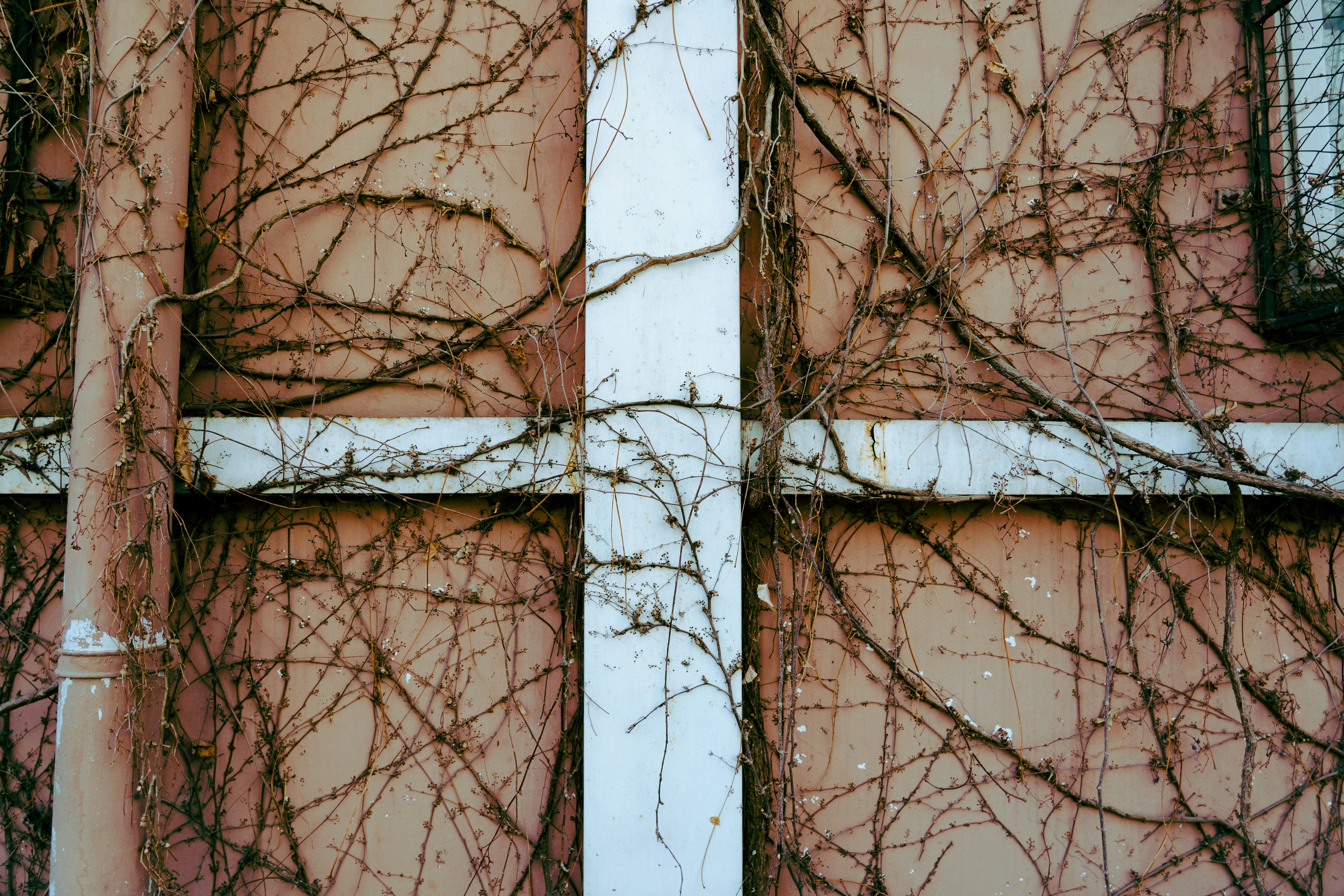 Photo by carmendis