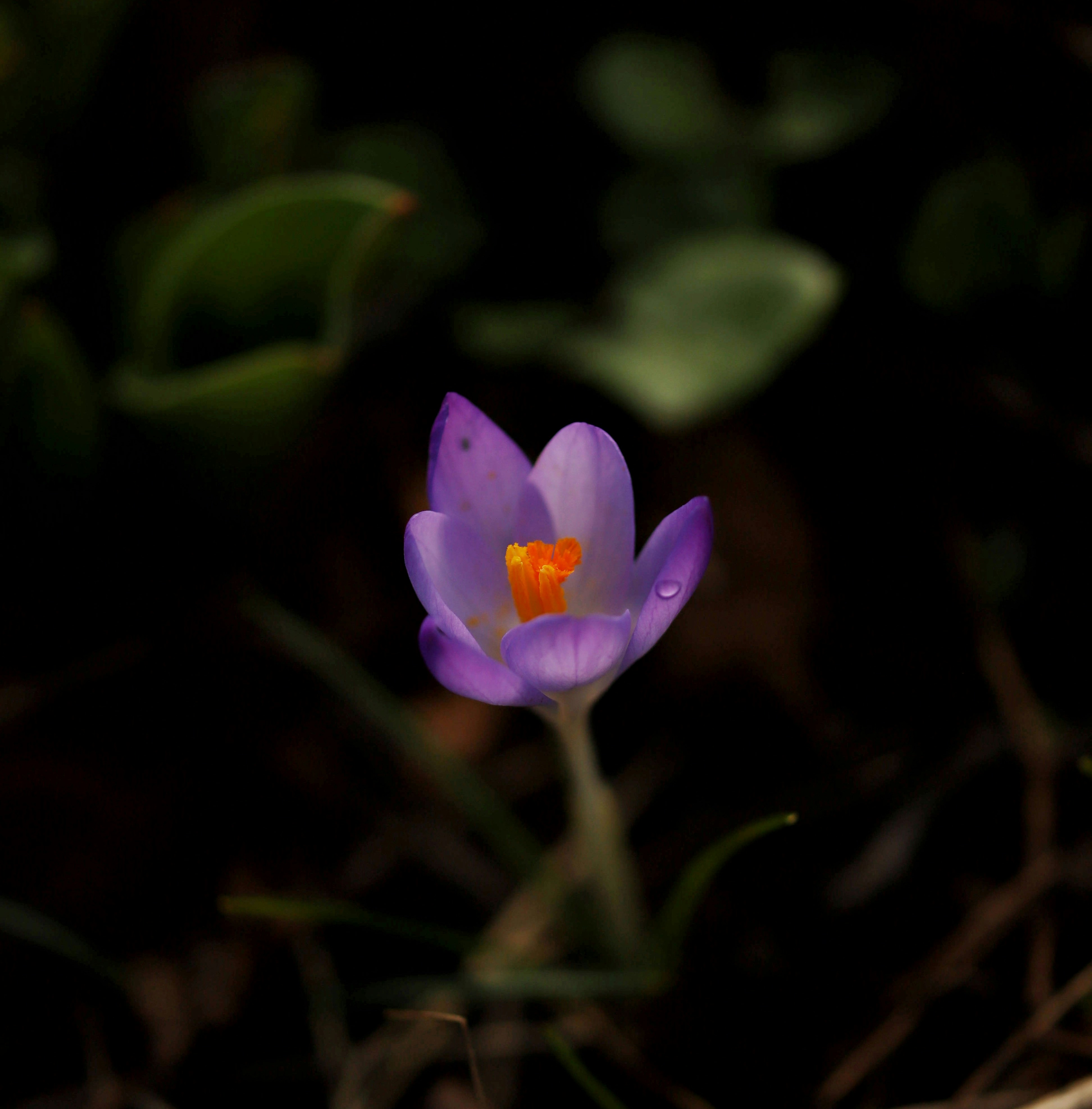 Photo by hdbernd
