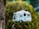 A birdhouse designed to look like a vintage camper van with detailed features including windows, a door, and a spare tire. It hangs from a rope against a backdrop of blurred greenery, providing a whimsical and nostalgic aesthetic.