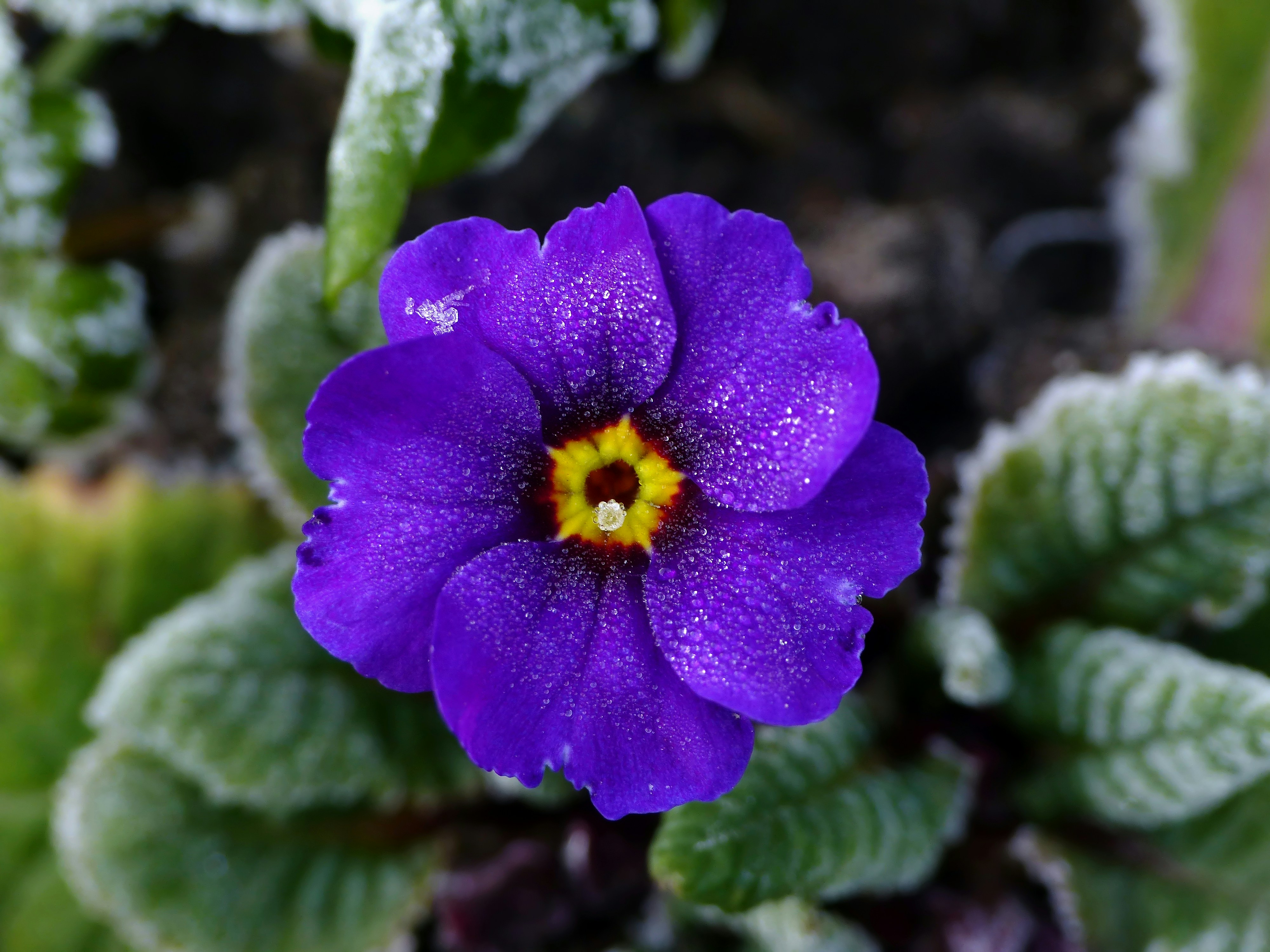 Photo by j_blueberry