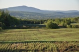 a large field of grass with mountains in the background