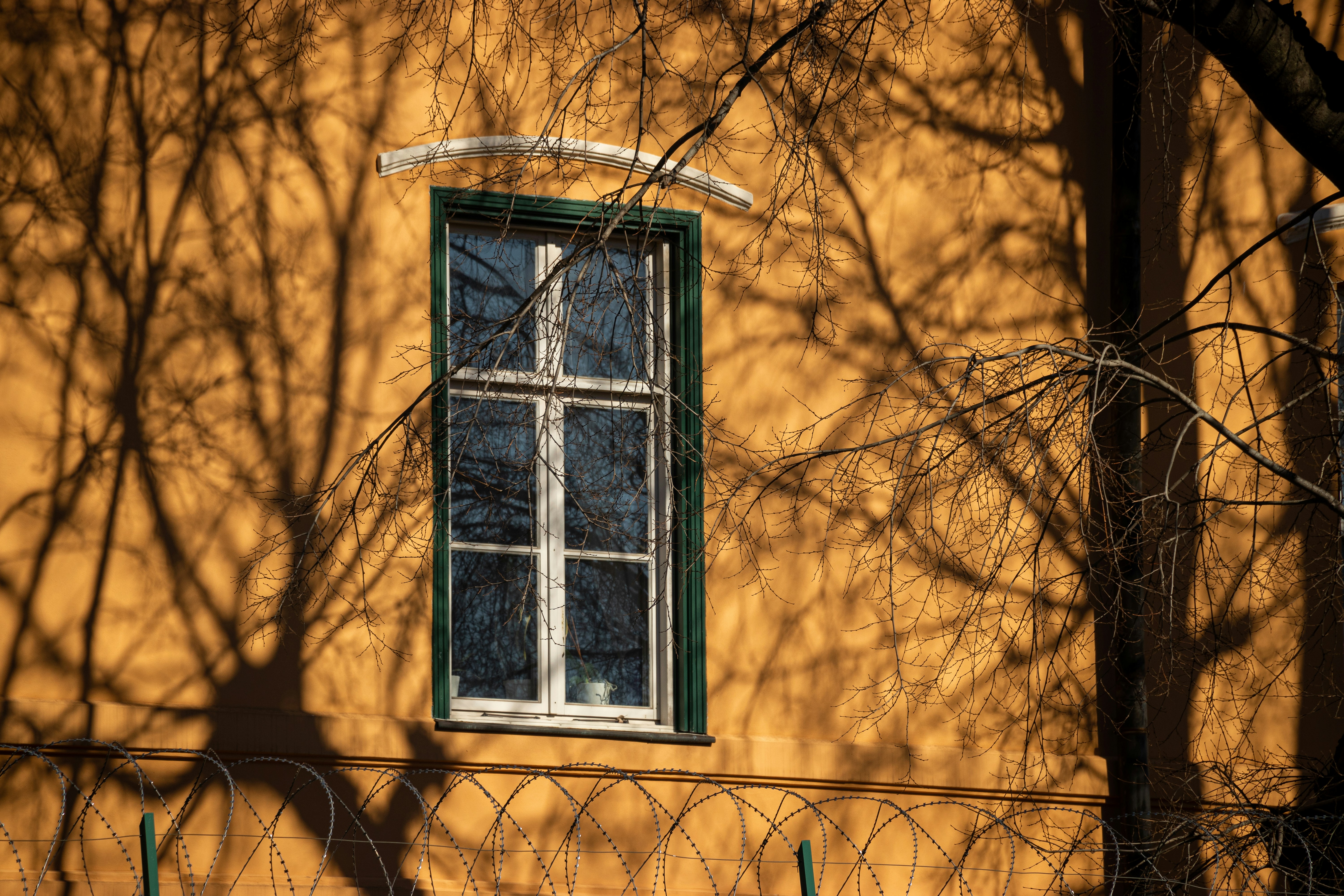 The bright, sunny exterior of a modern suburban home with excellent curb appeal, representing a high-value property in Castle Rock.