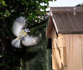 a bird is flying near a bird house