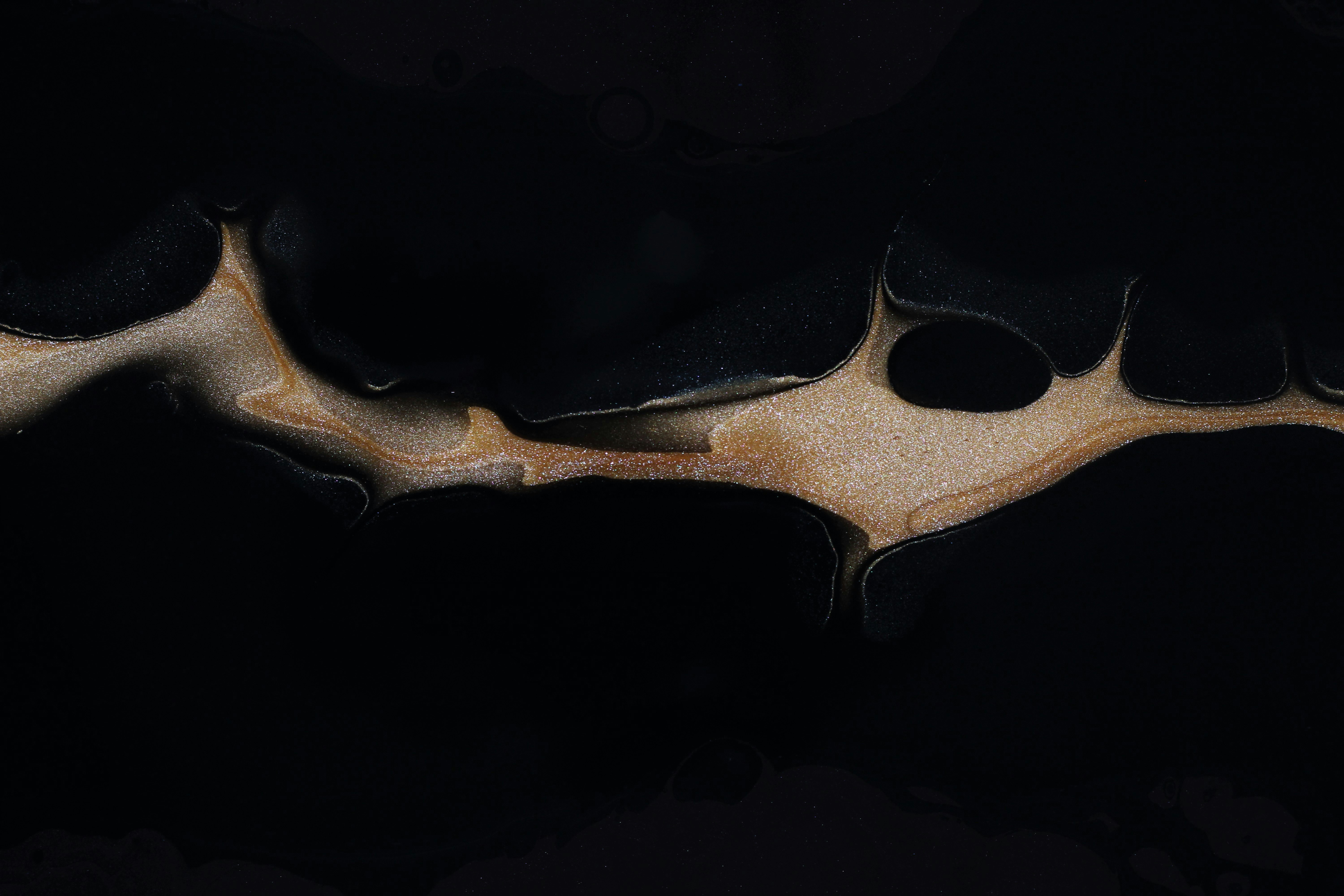 Photo by susan_wilkinson