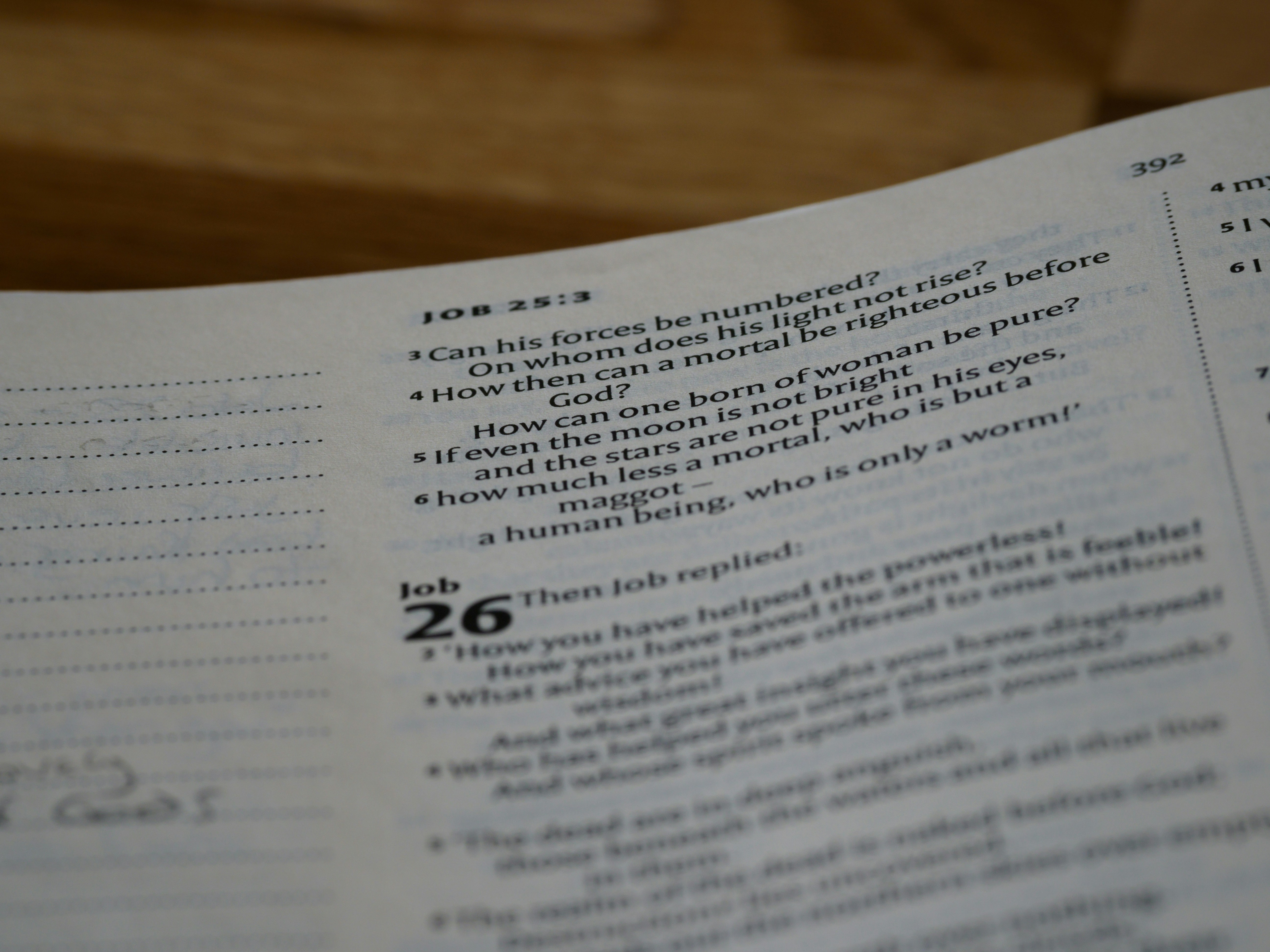 Photo by brett_jordan