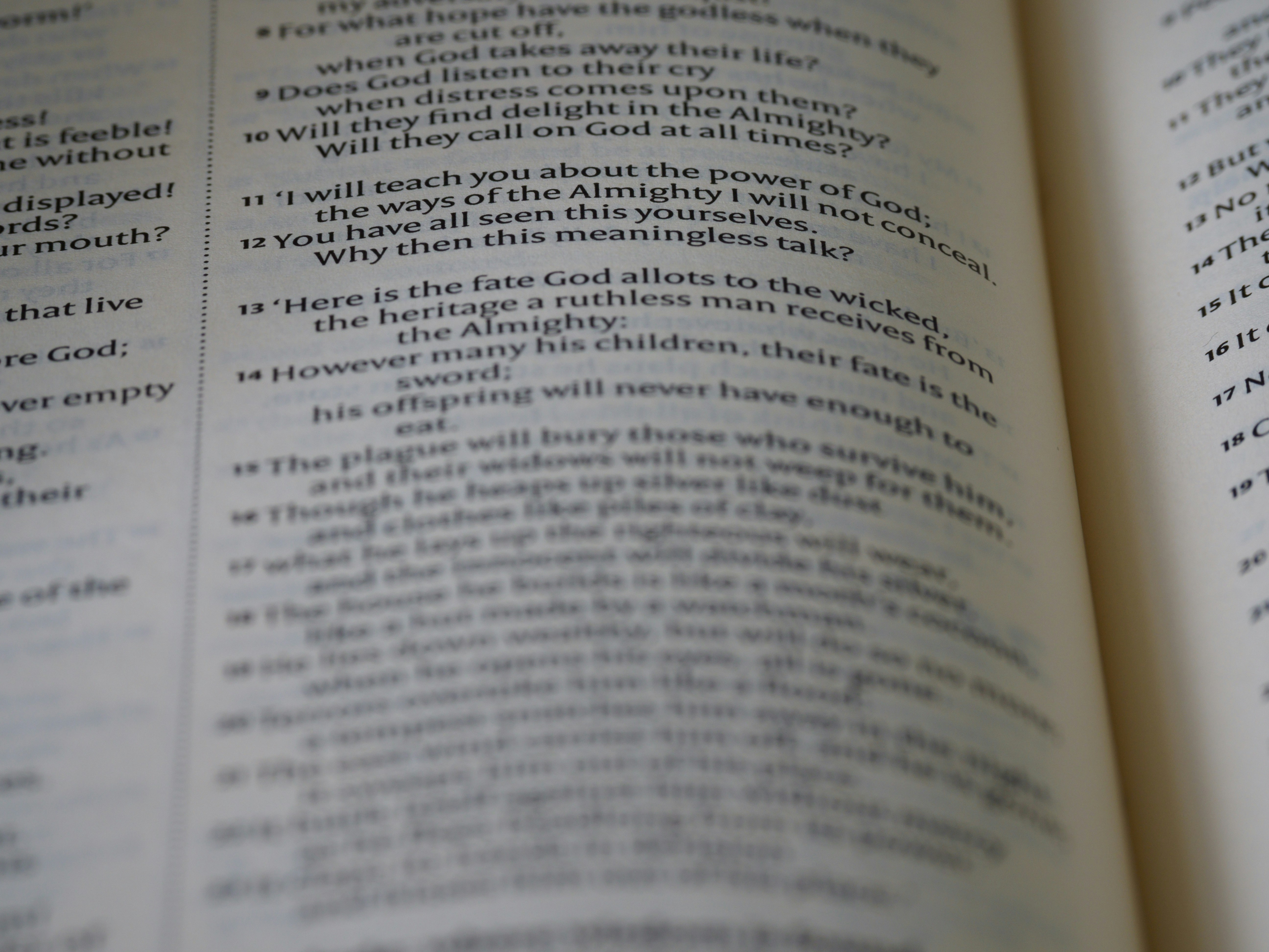 Философские размышления и поиск знаний