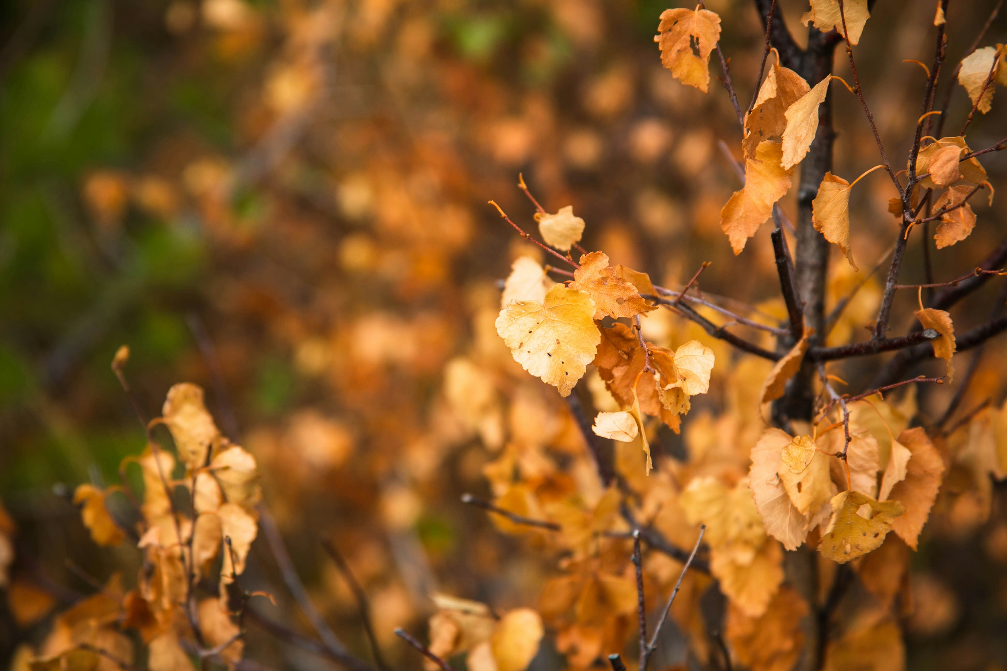 Photo by tikieva_event