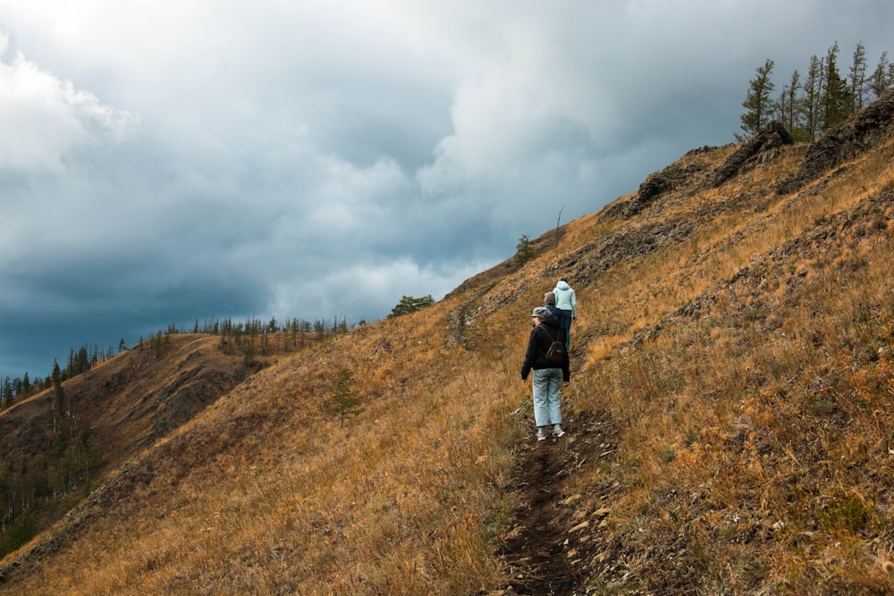 a person walking up a hill on a cloudy day