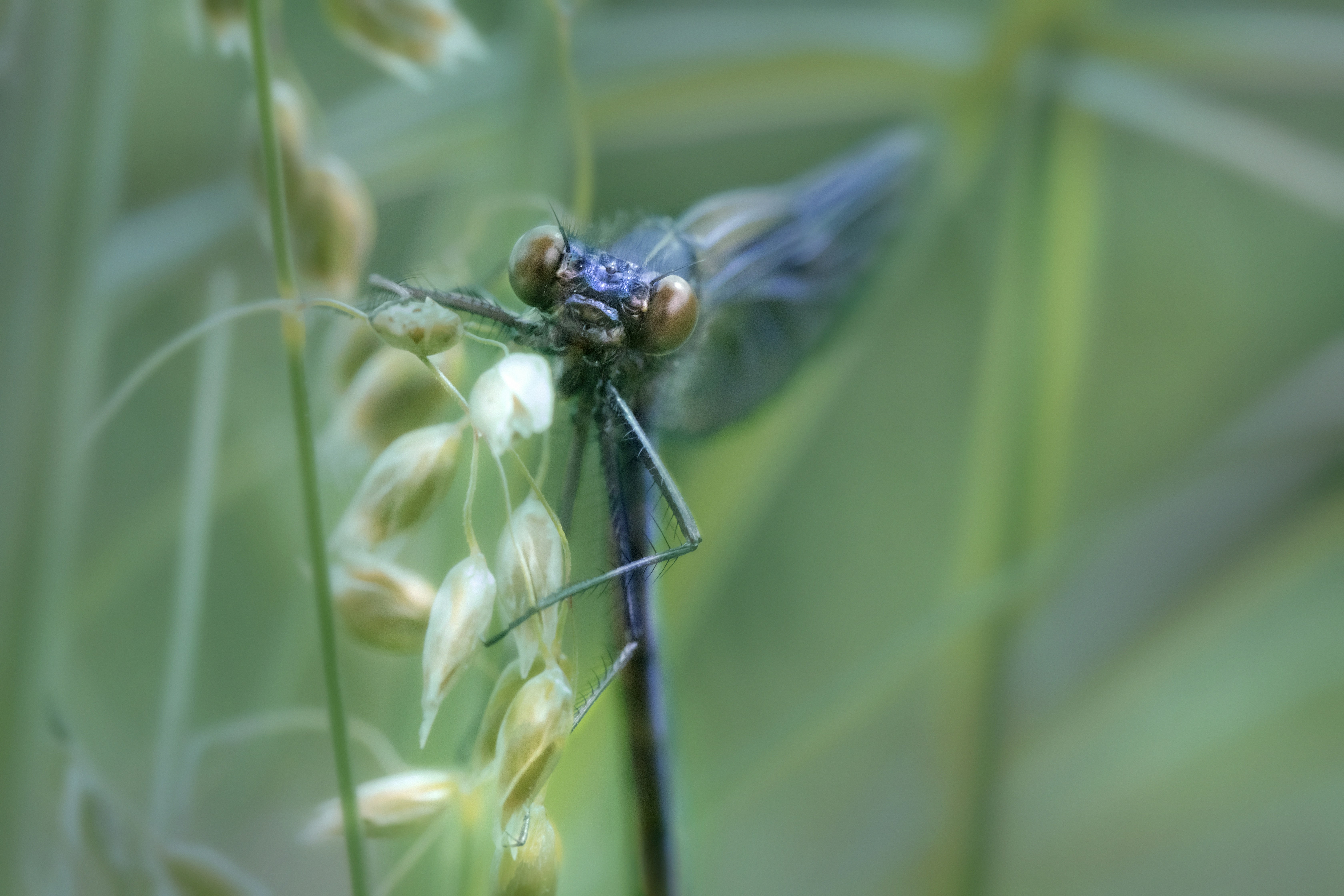 Photo by erik_karits