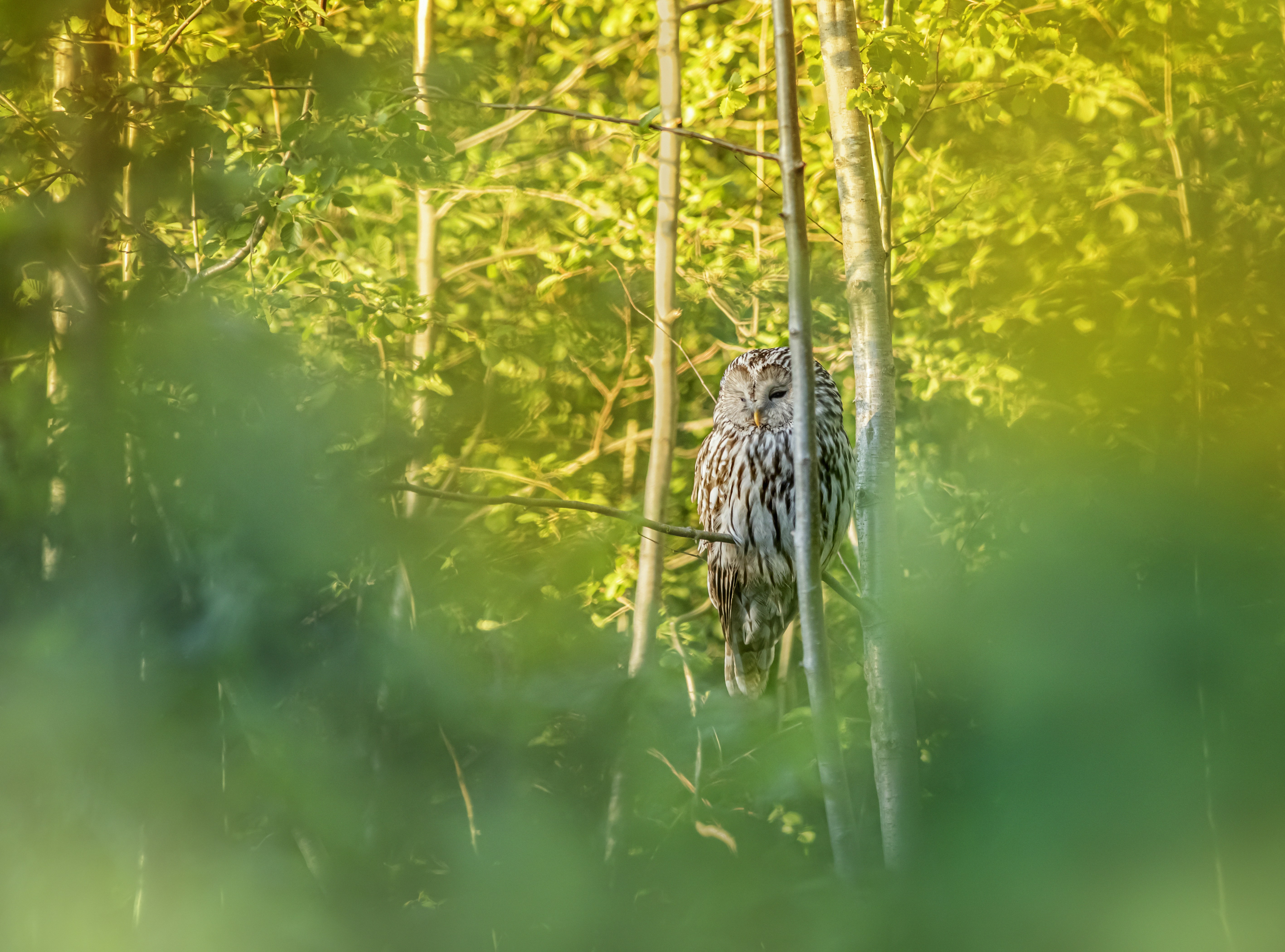 Photo by erik_karits