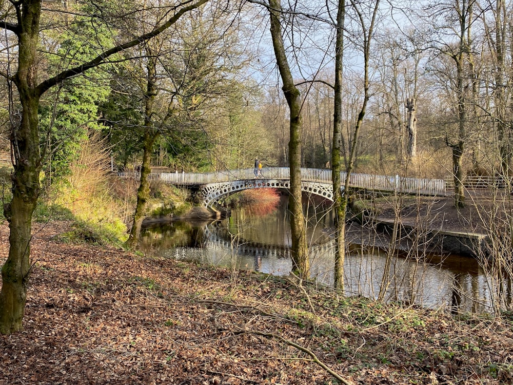 a bridge over a river in a wooded area
