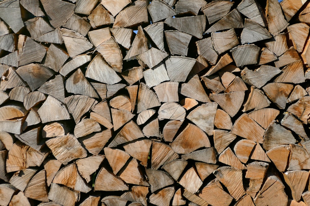 una catasta di legna tagliata seduta l'una accanto all'altra