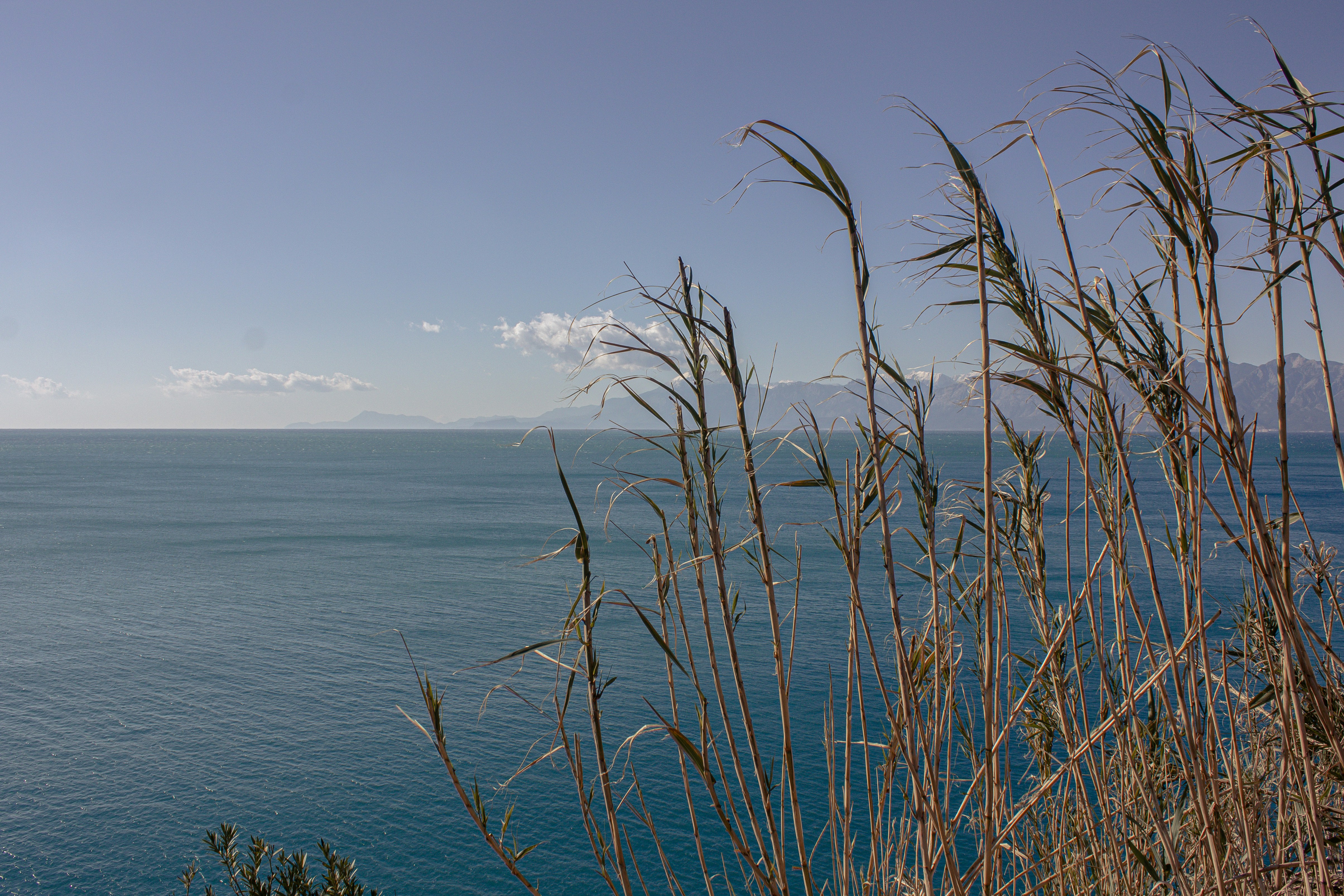 Photo by sam_badmaeva