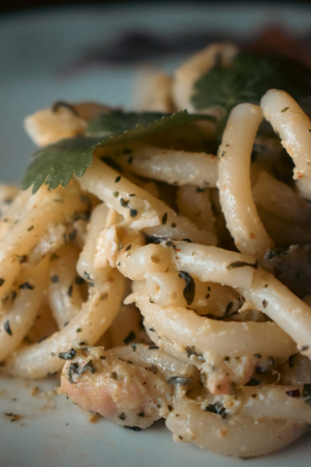 a close up of a plate of food with pasta