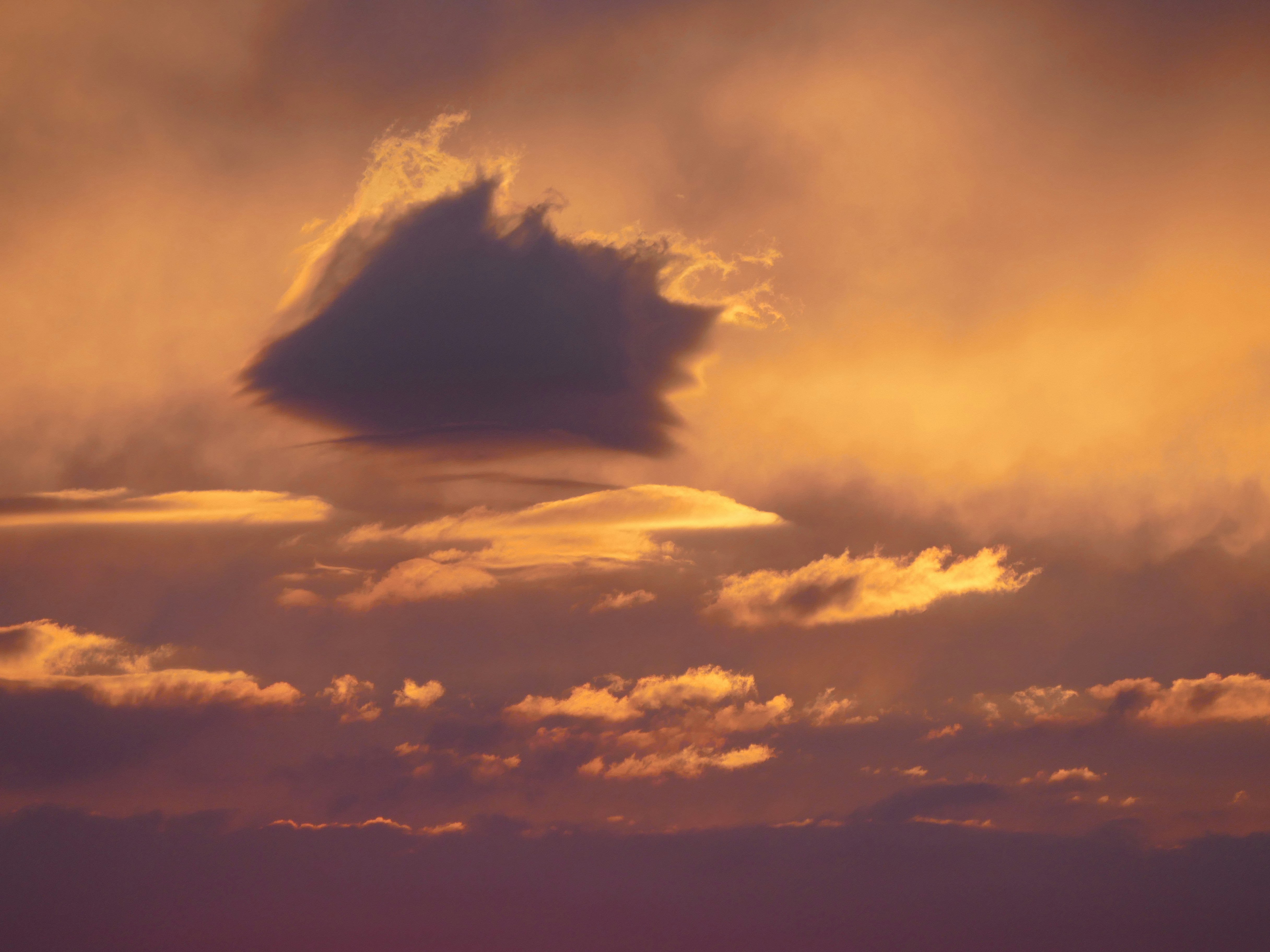 Photo by kuriositante