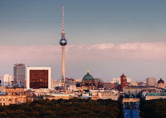 A striking aerial shot of Berlin's cityscape at dawn, with sharp contrasts between urban structures and green spaces.